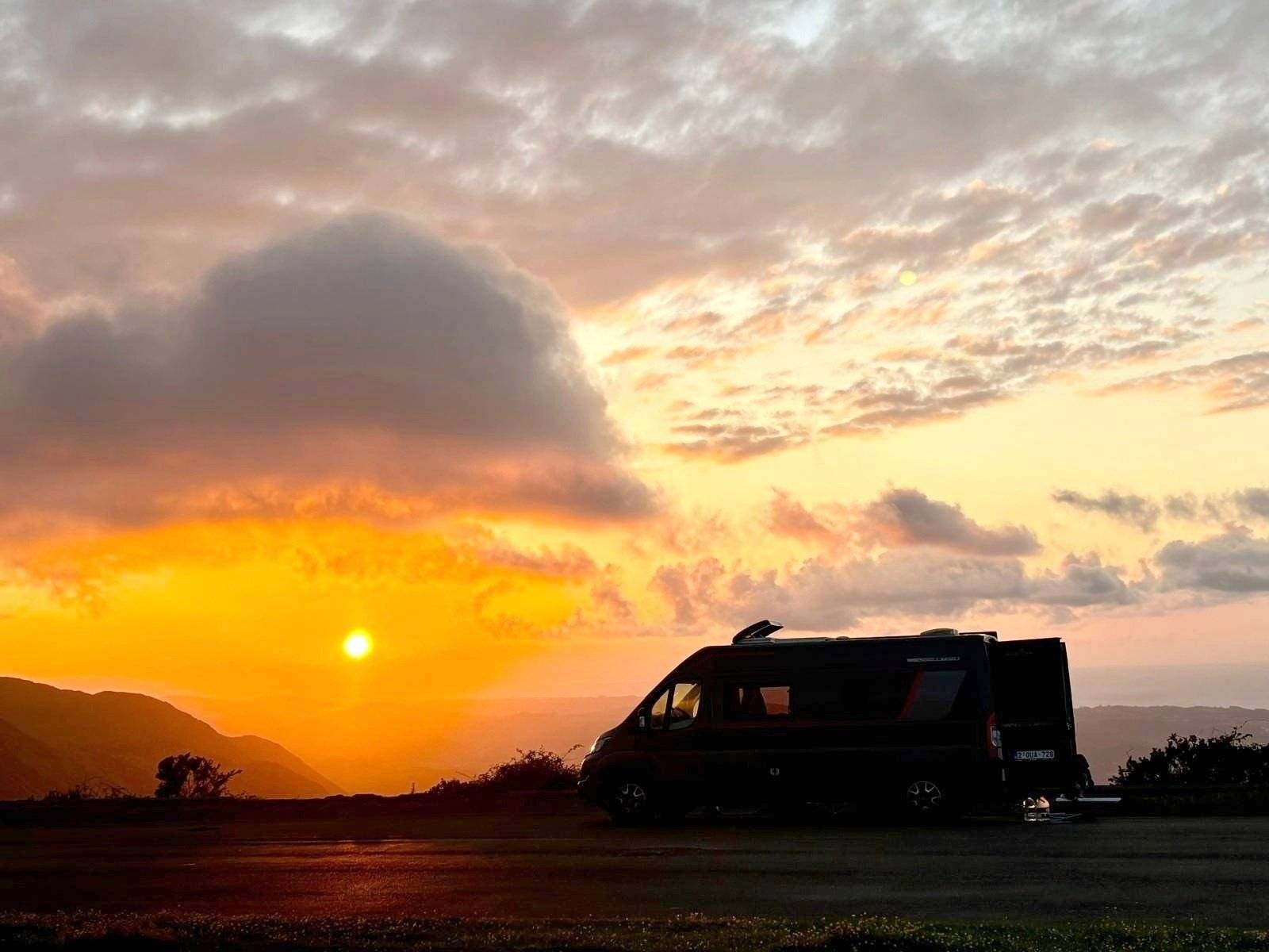 Roller Team Livingstone 5 Sport Edition