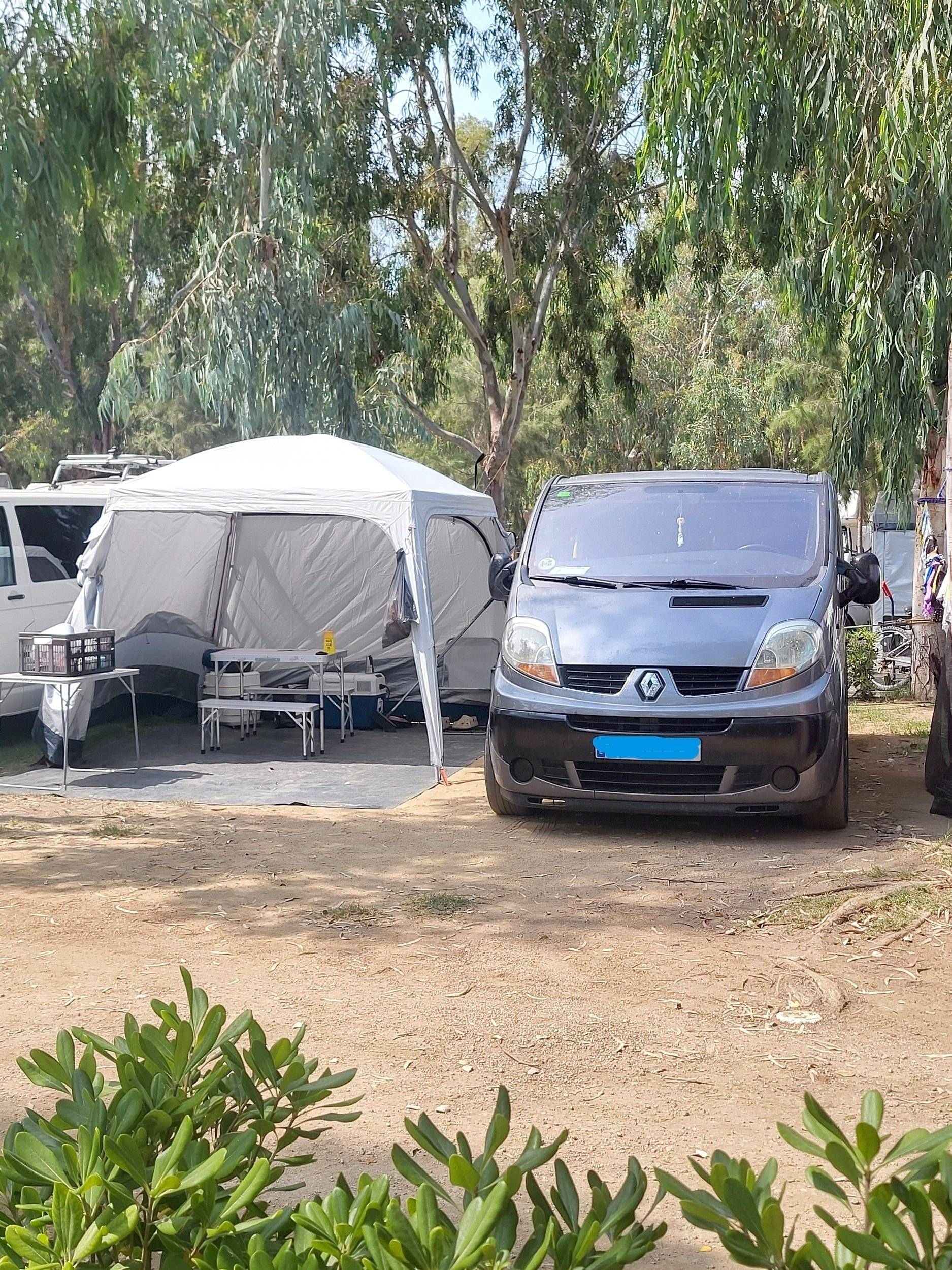 Renault Renault trafic  