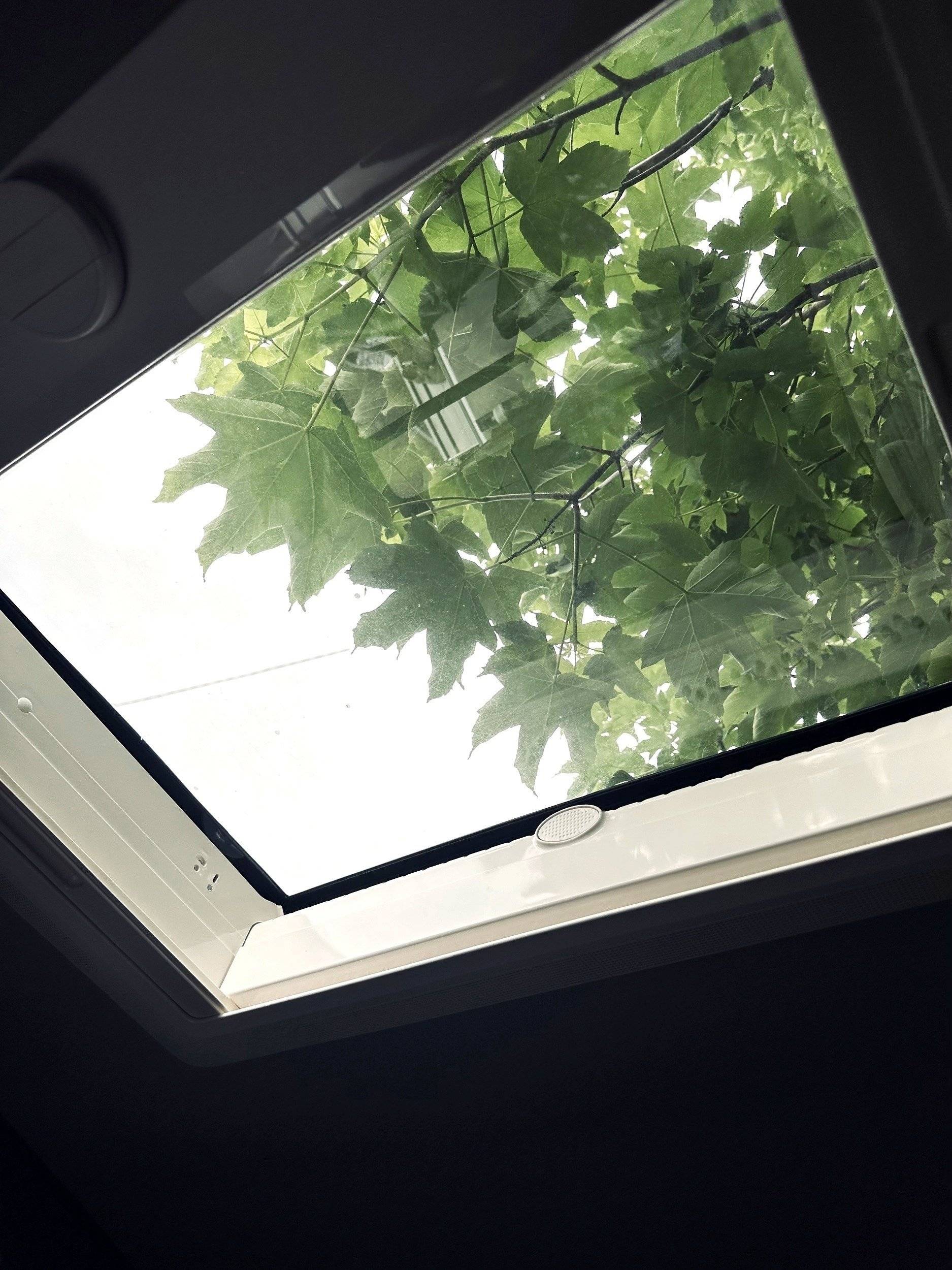 Hymer Hymer Gran Canyon