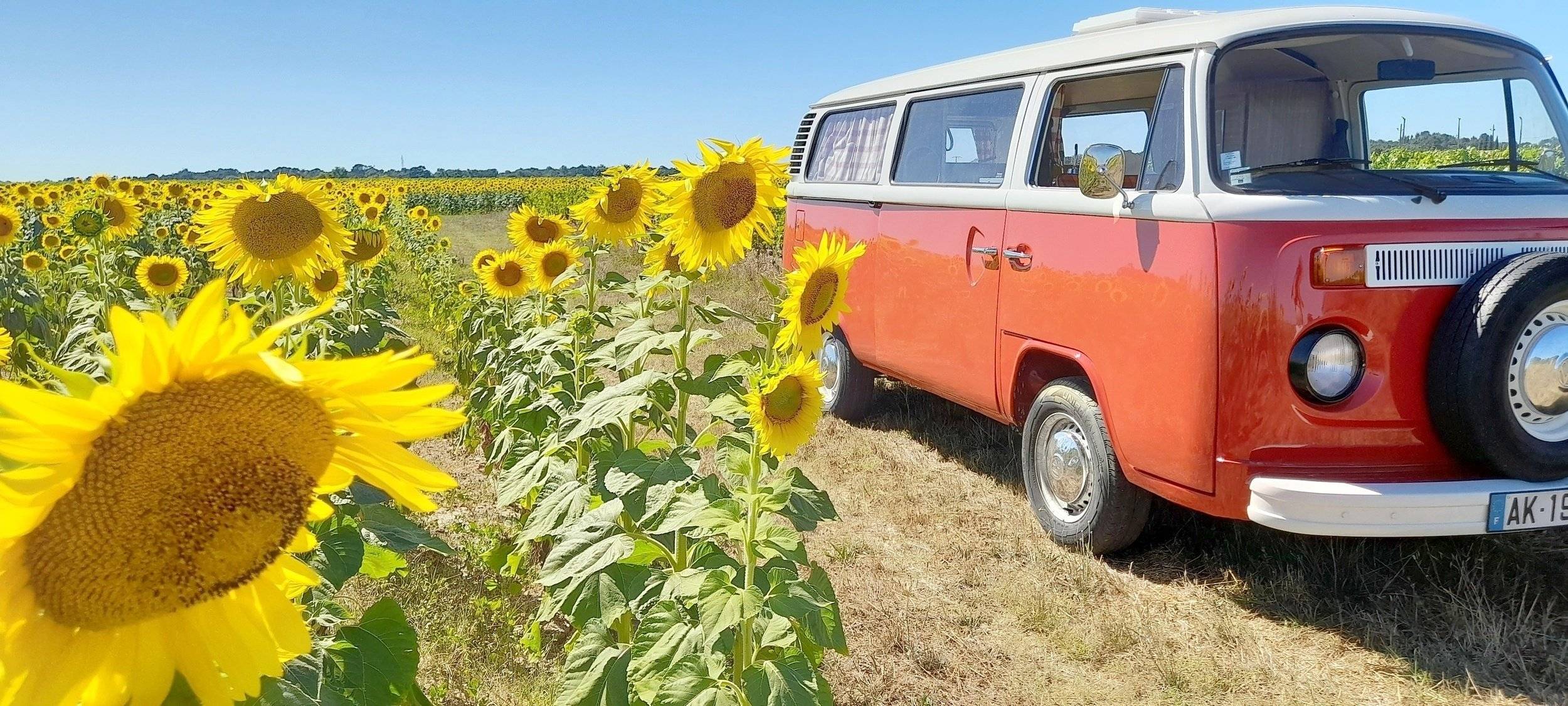 Westfalia volkswagen T2 A