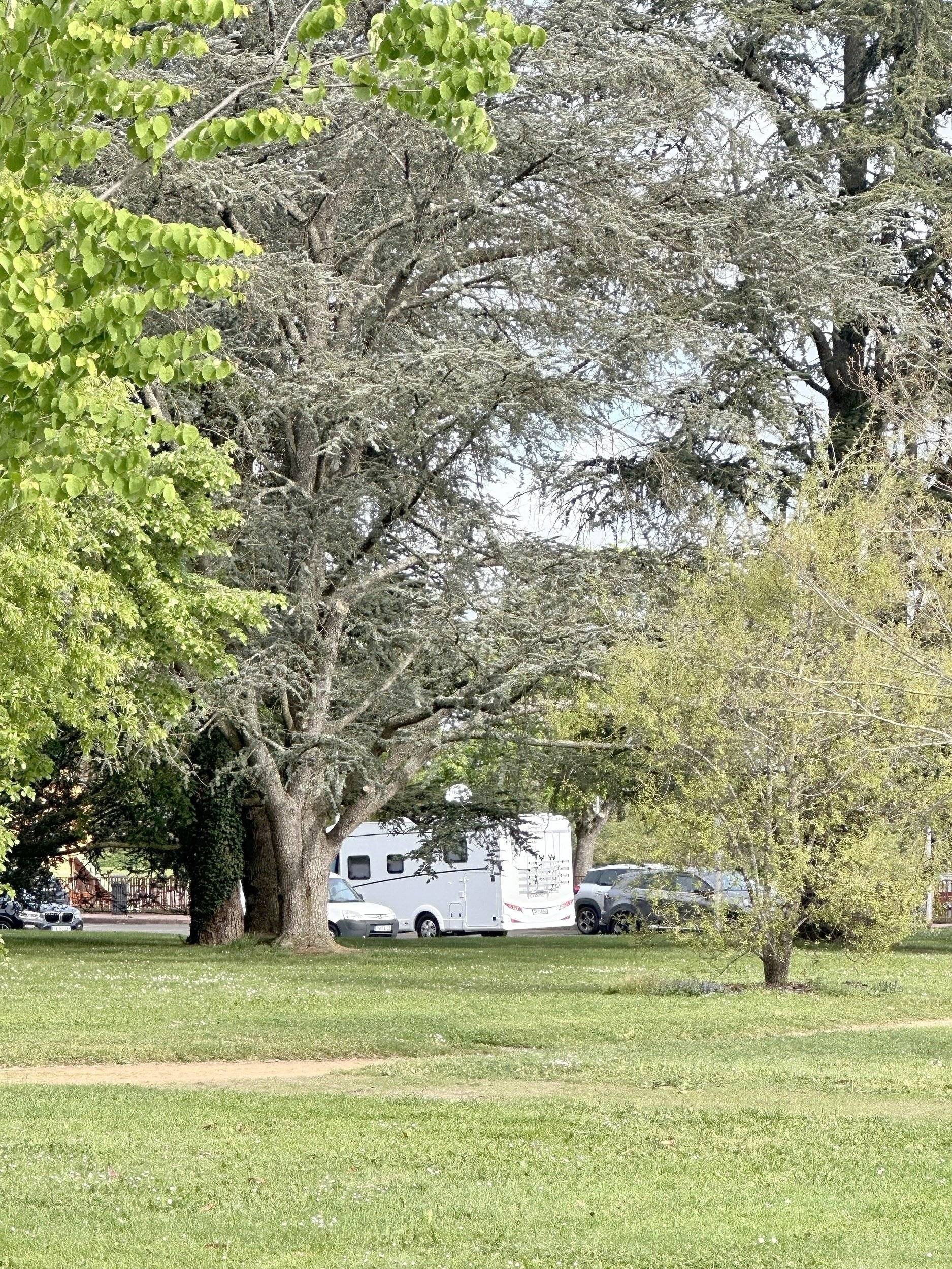 Dethleffs T 7057 Dbm