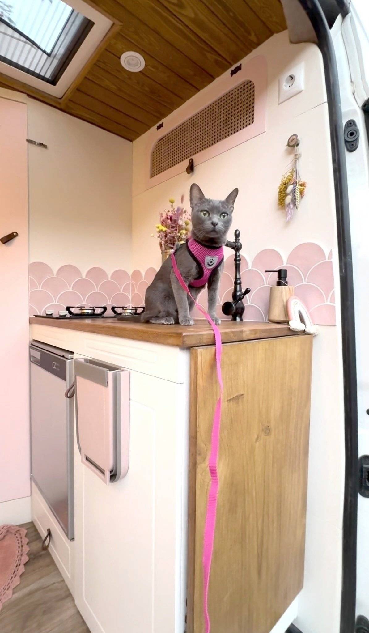 Volkswagen volkswagen Crafter 2.0 TDI