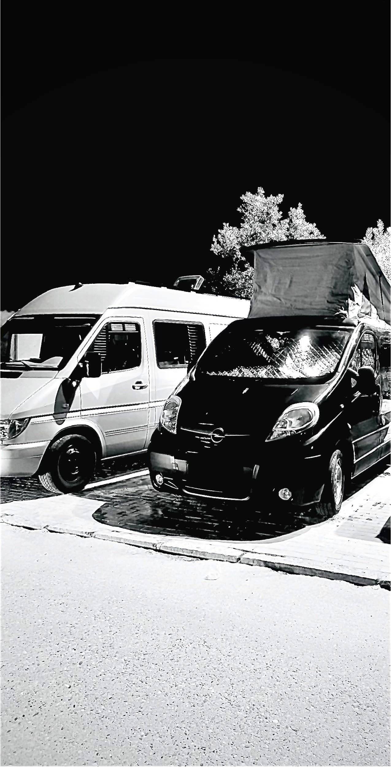 Benimar 113