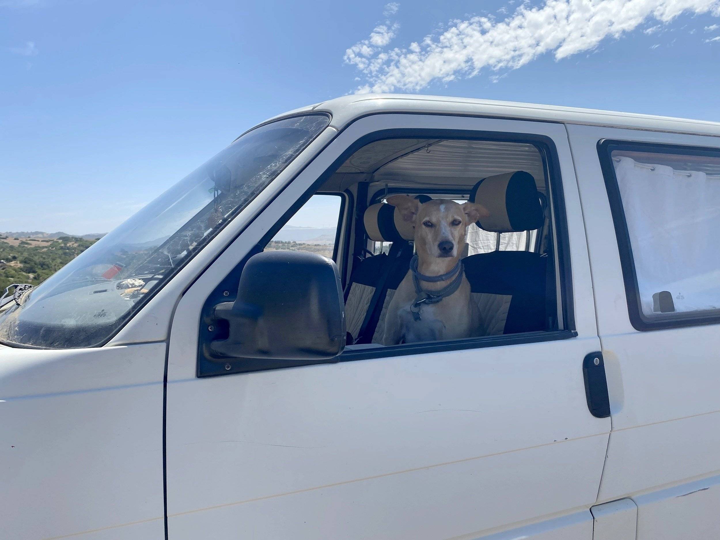 Volkswagen Transporter T4