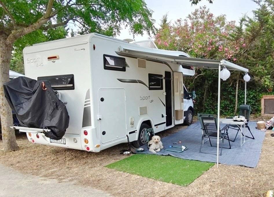 Benimar Benimar Sport 340 up