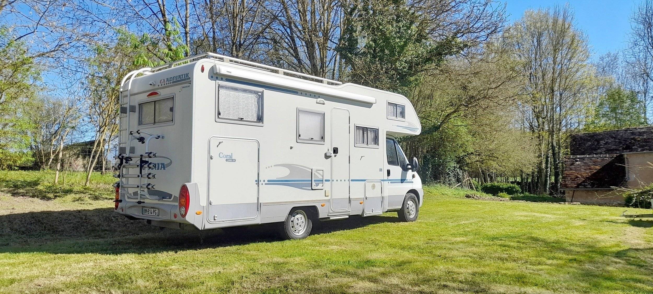 adria Adria coral   sp660