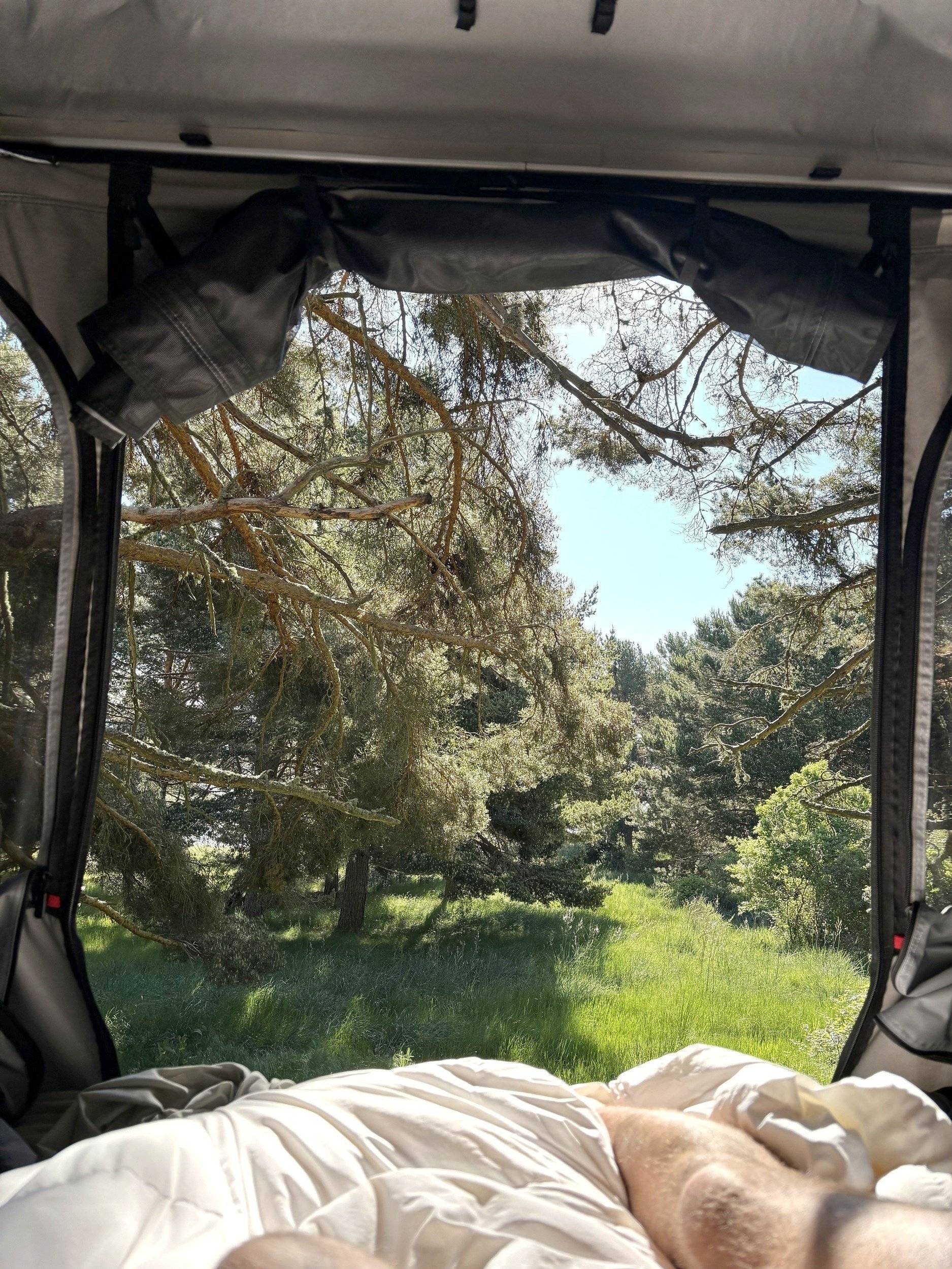 Challenger Challenger