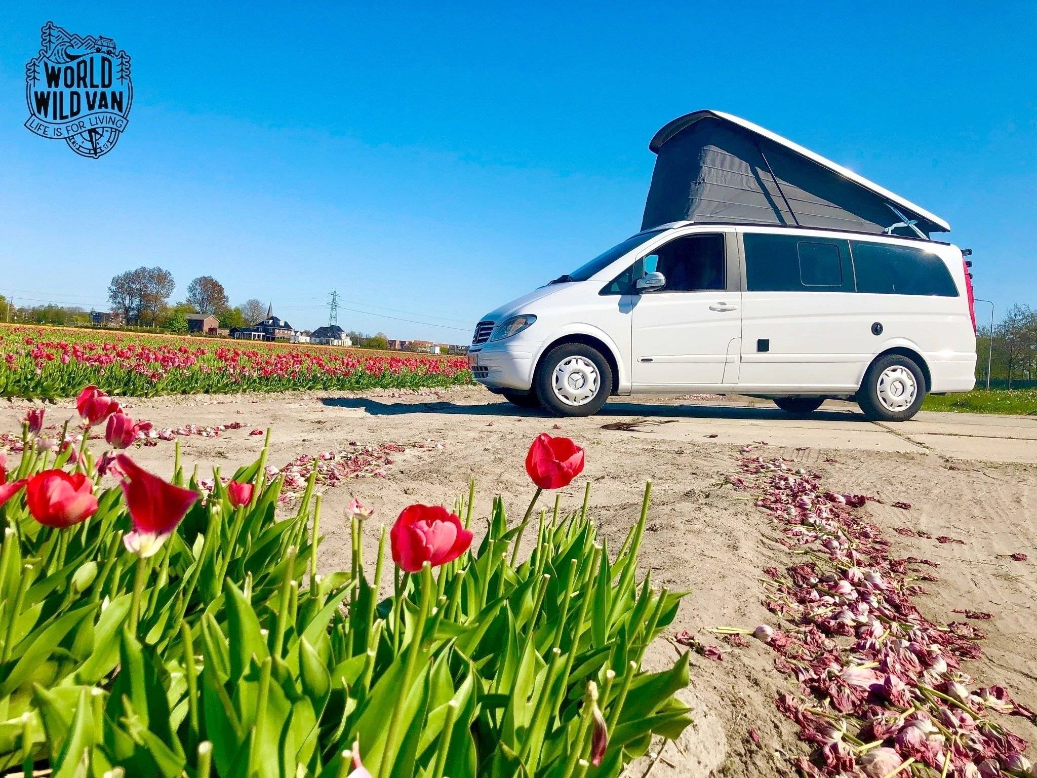 Westfalia Viano Marco Polo Westfalia