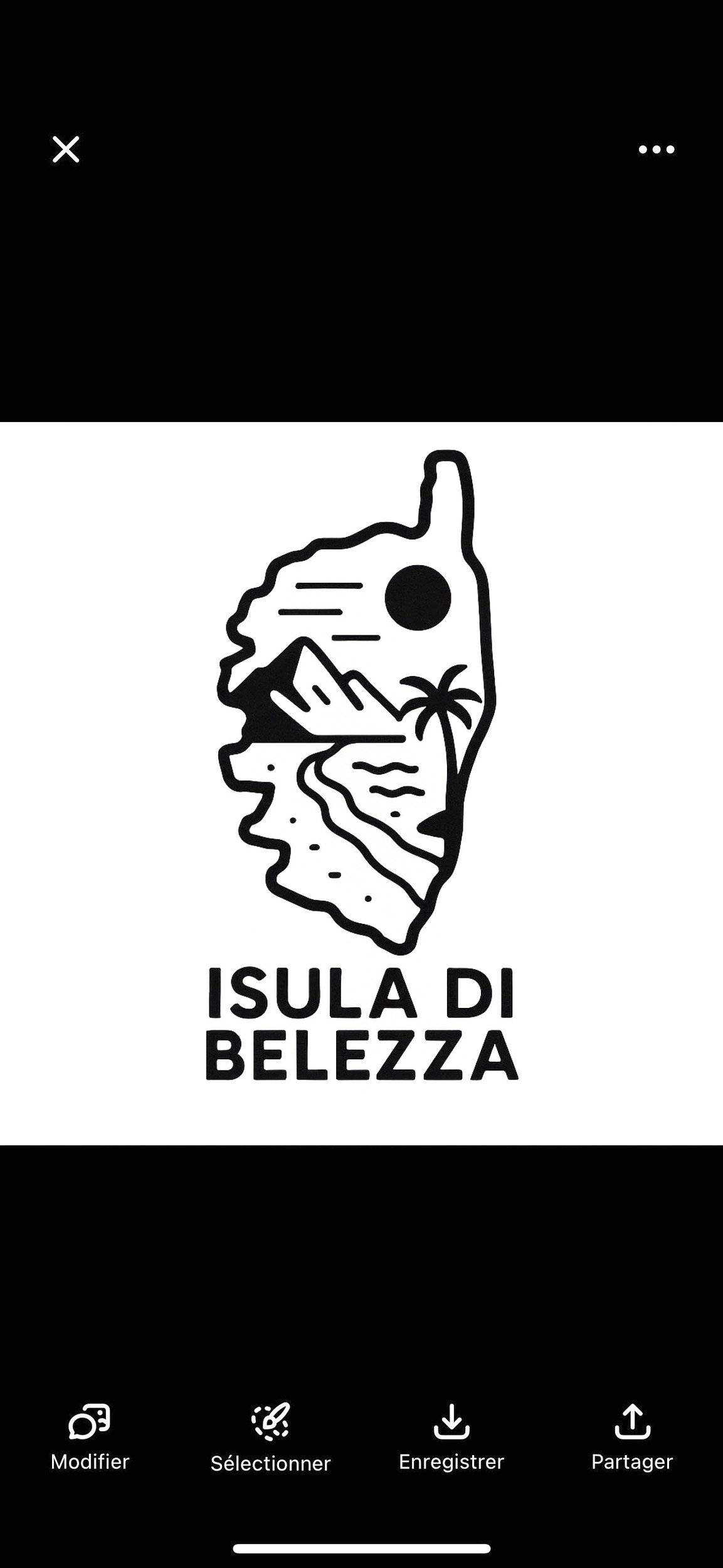 Custo Van Transporter