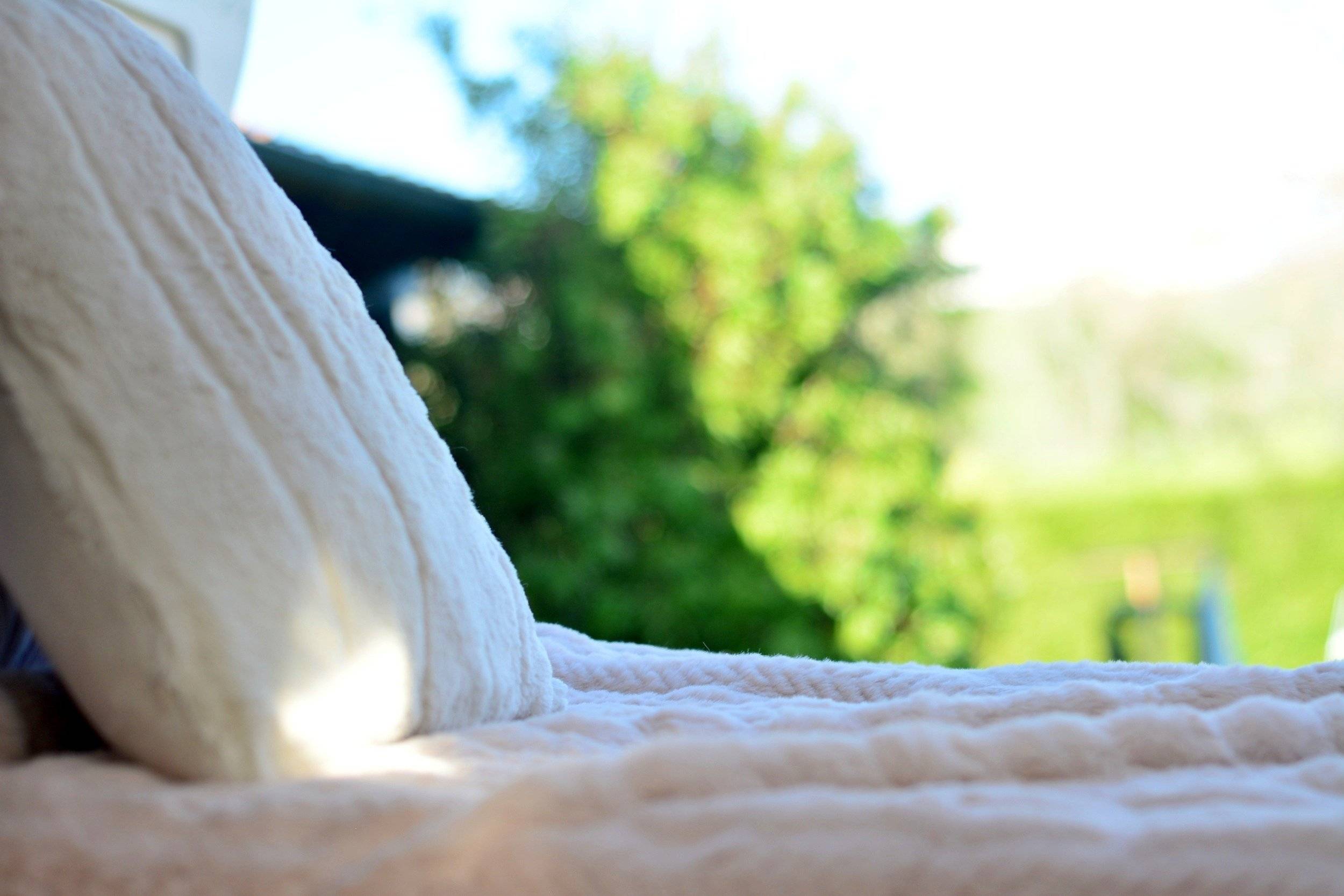 Dreamer Dreamer Family Van