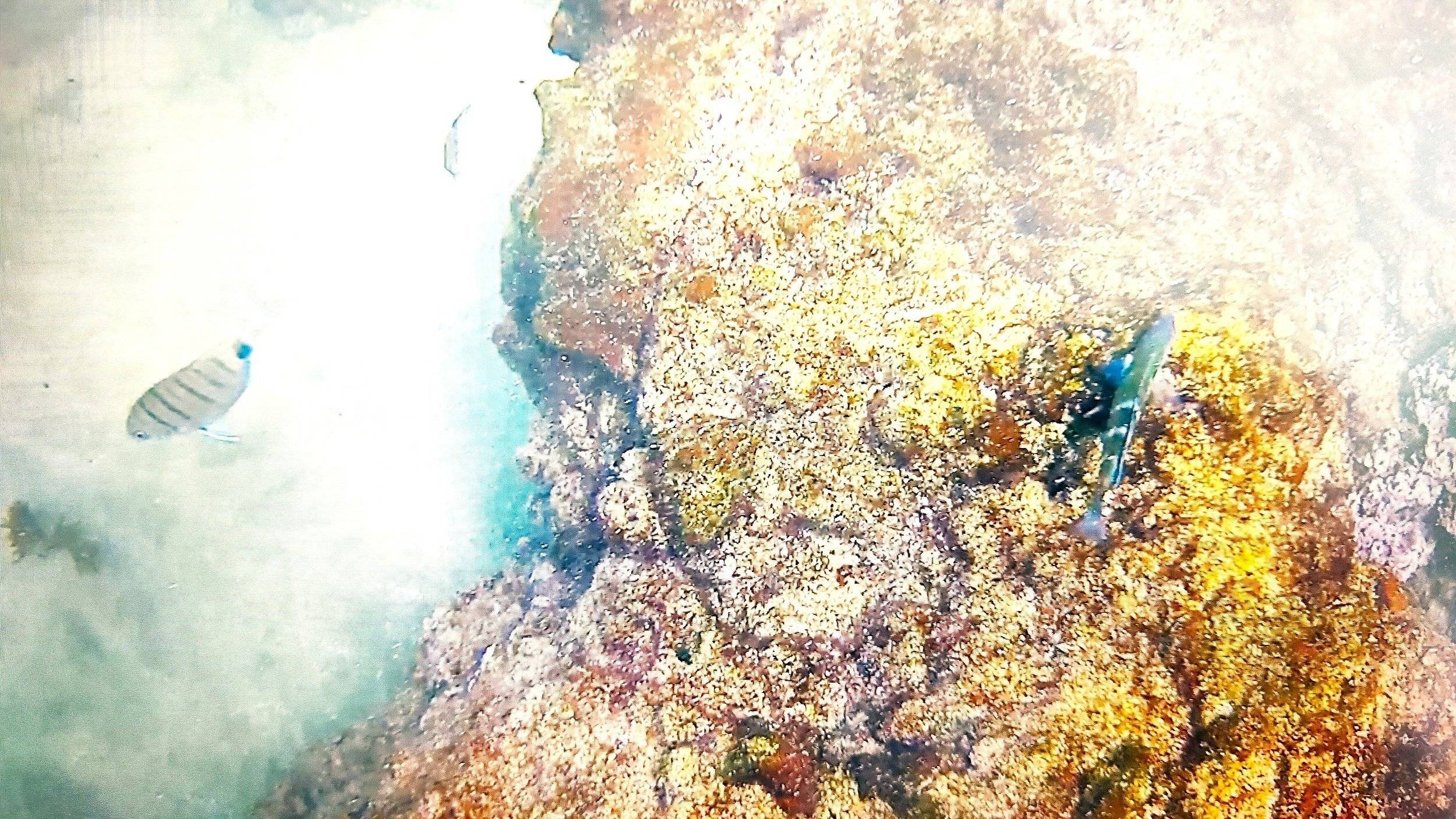 review photo thumbnail