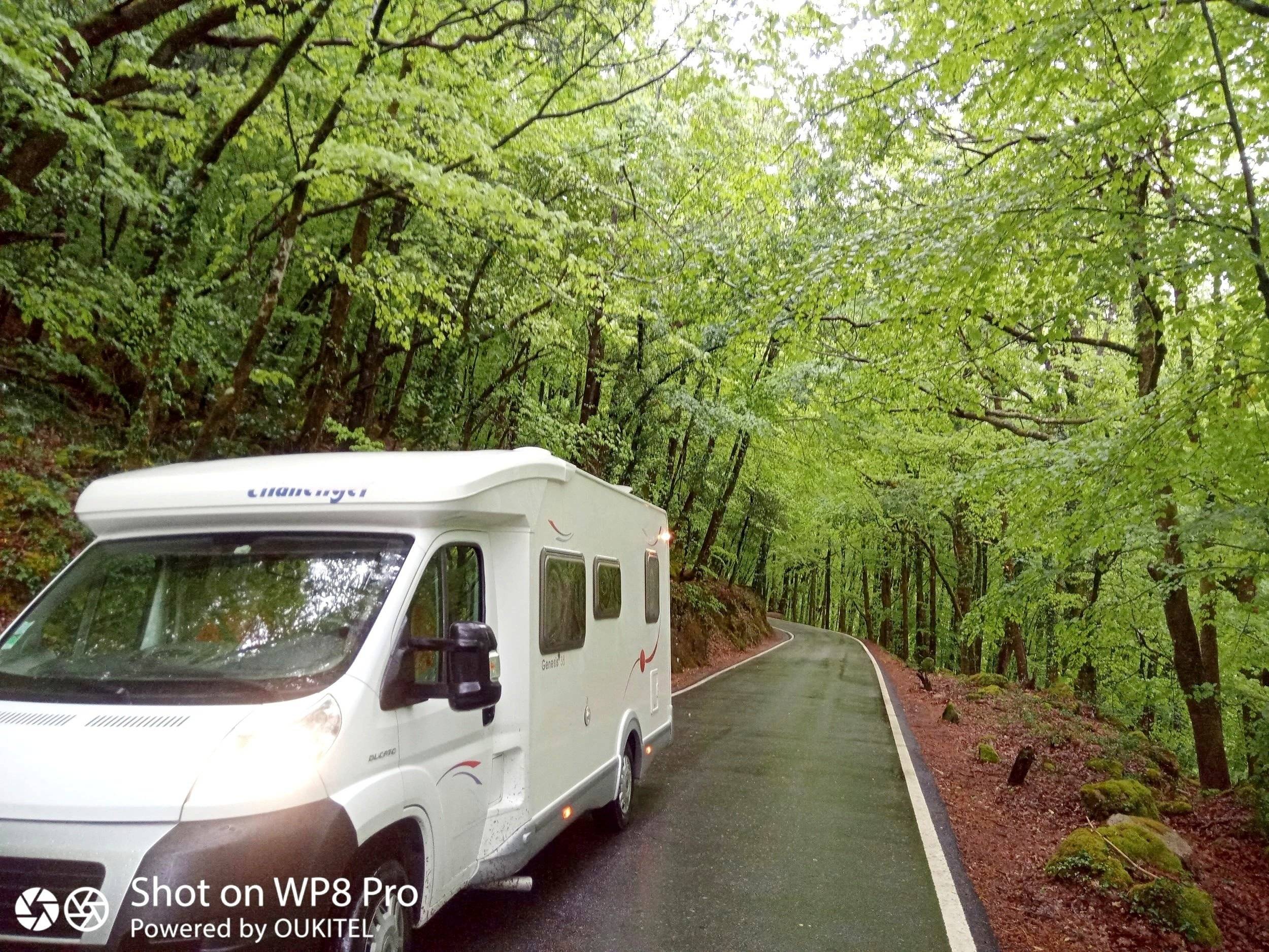 Challenger Genesis 38