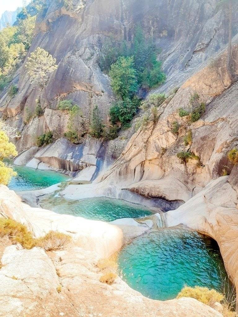 Westfalia ford transit