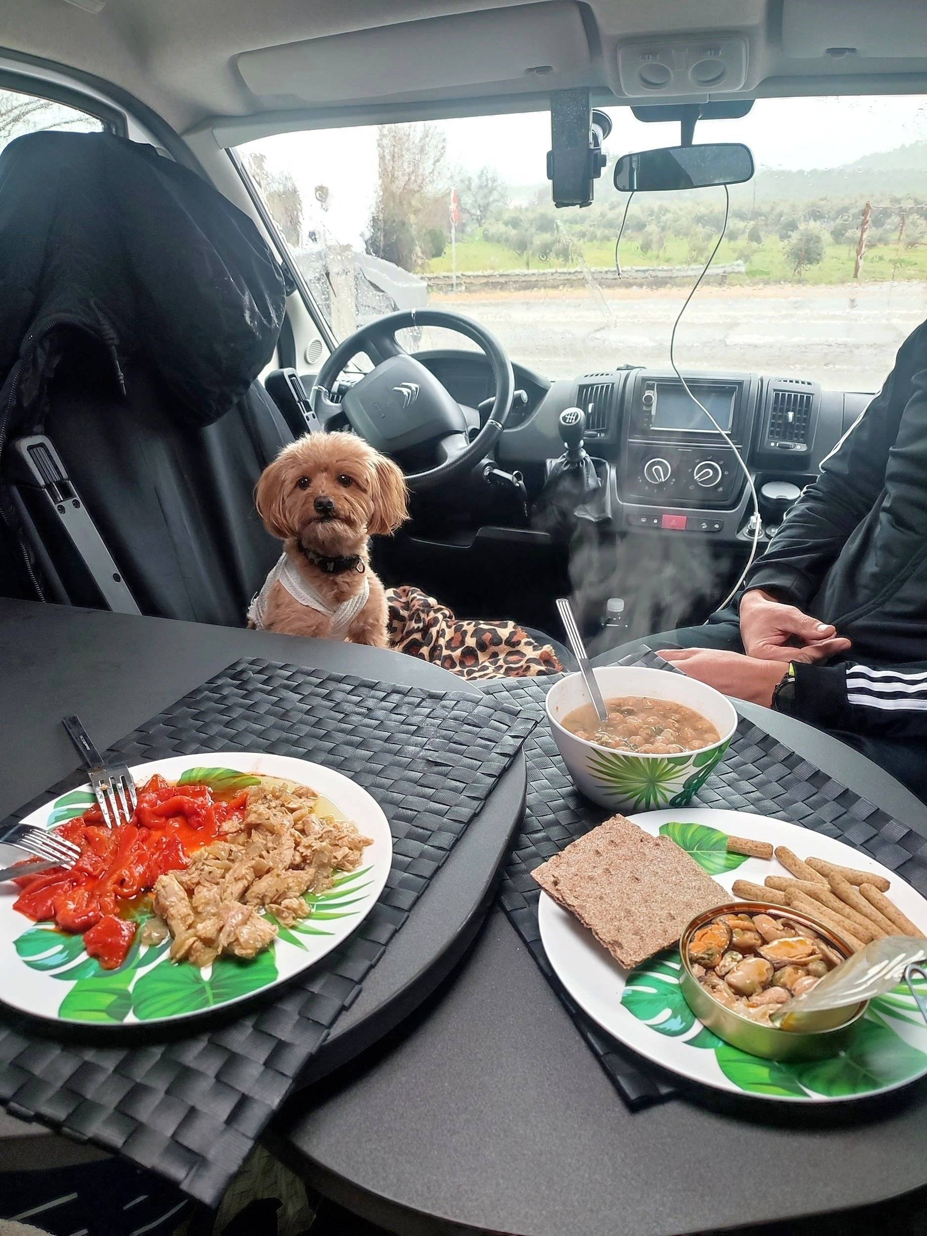 Adria Twin 600 spt Family Axess 06 Active