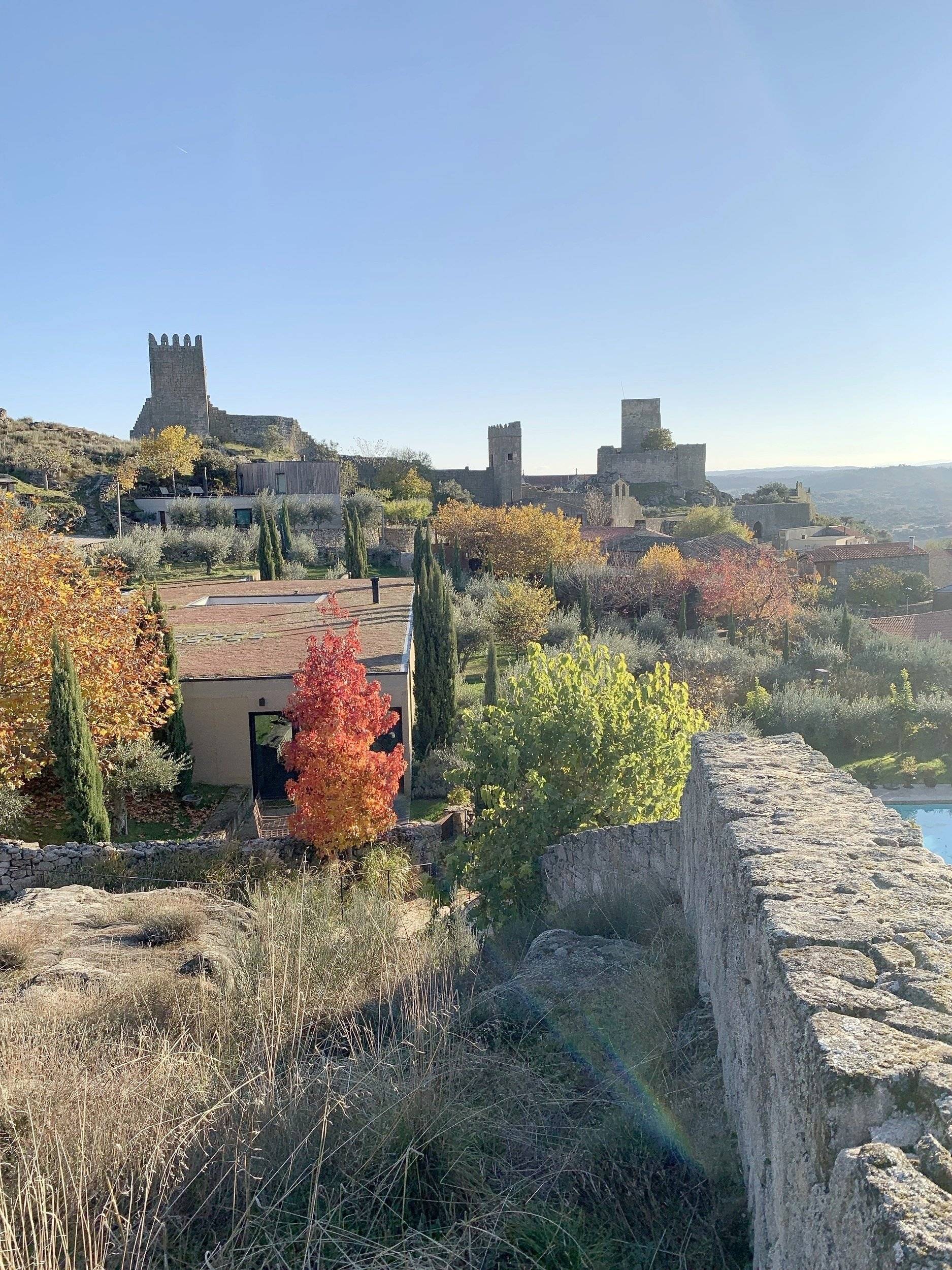 Pilote P706 C Essentiel