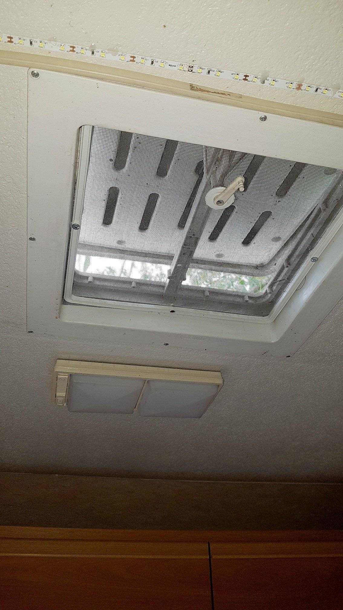 Roller Team Roller team