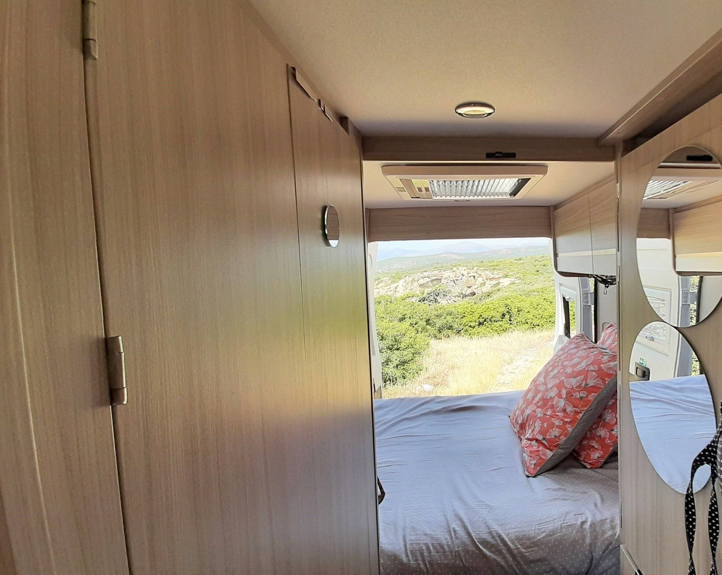 Dreamer D55 exclusive