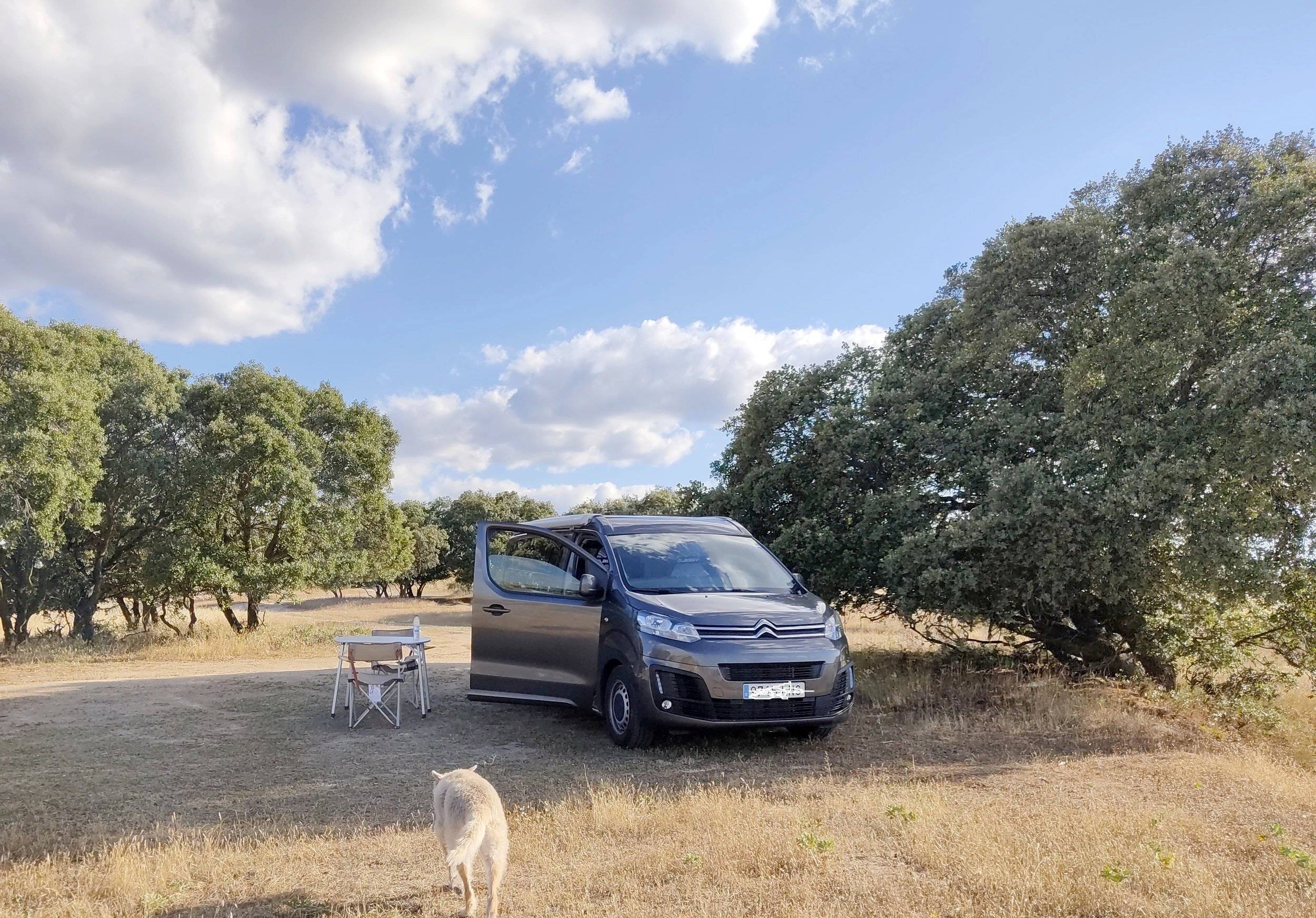 Front view from 3/4 Citroën JUMPY - Yescapa