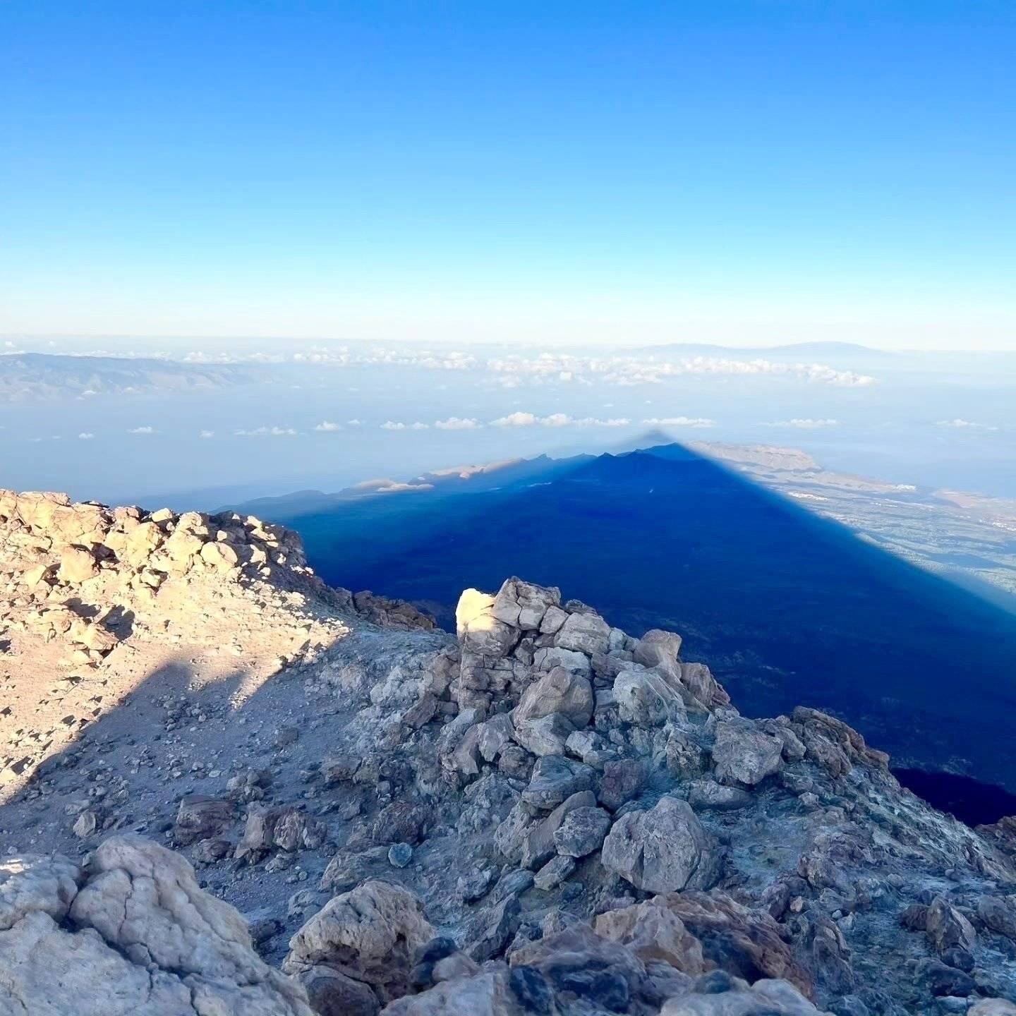 Volkswagen Volkswagen T6