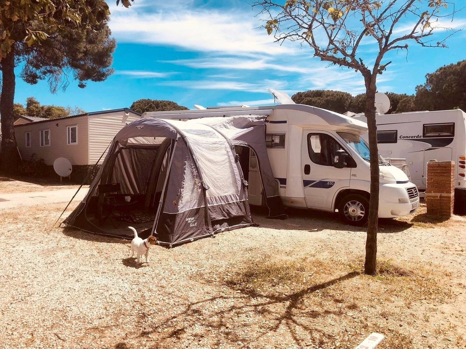 Mclouis McLouis Tandy