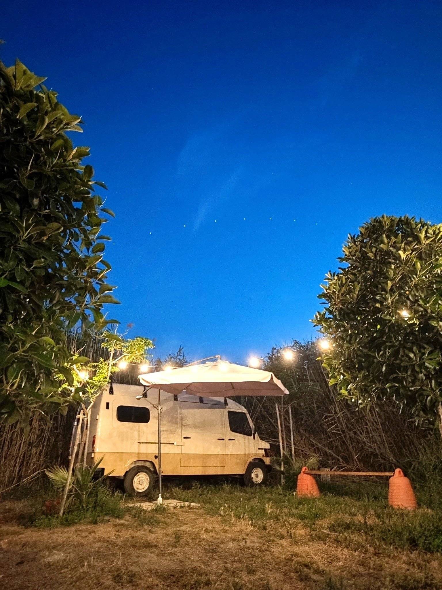 Mercedes  Sprinter 308