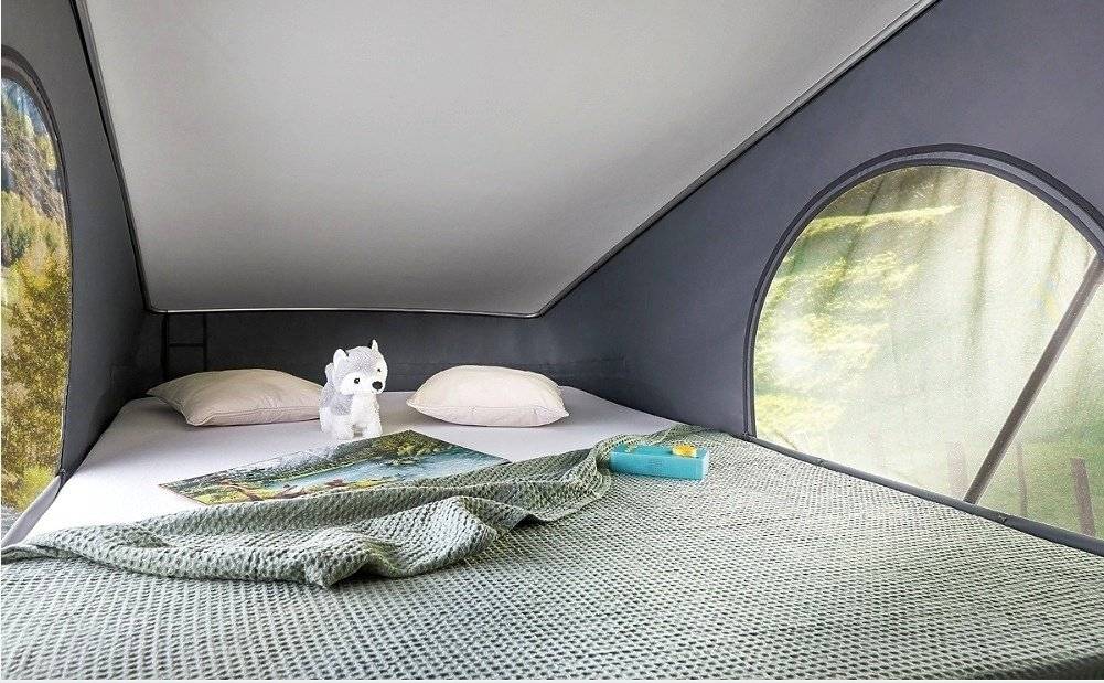 Dreamer dreamer d 55up