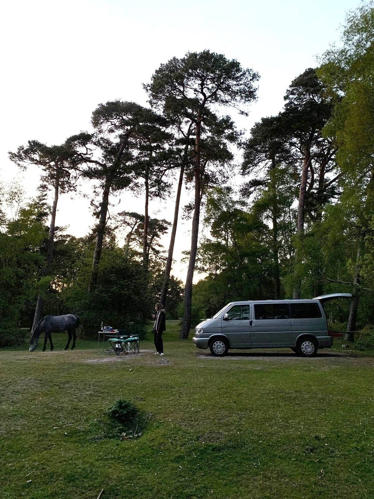 review photo thumbnail