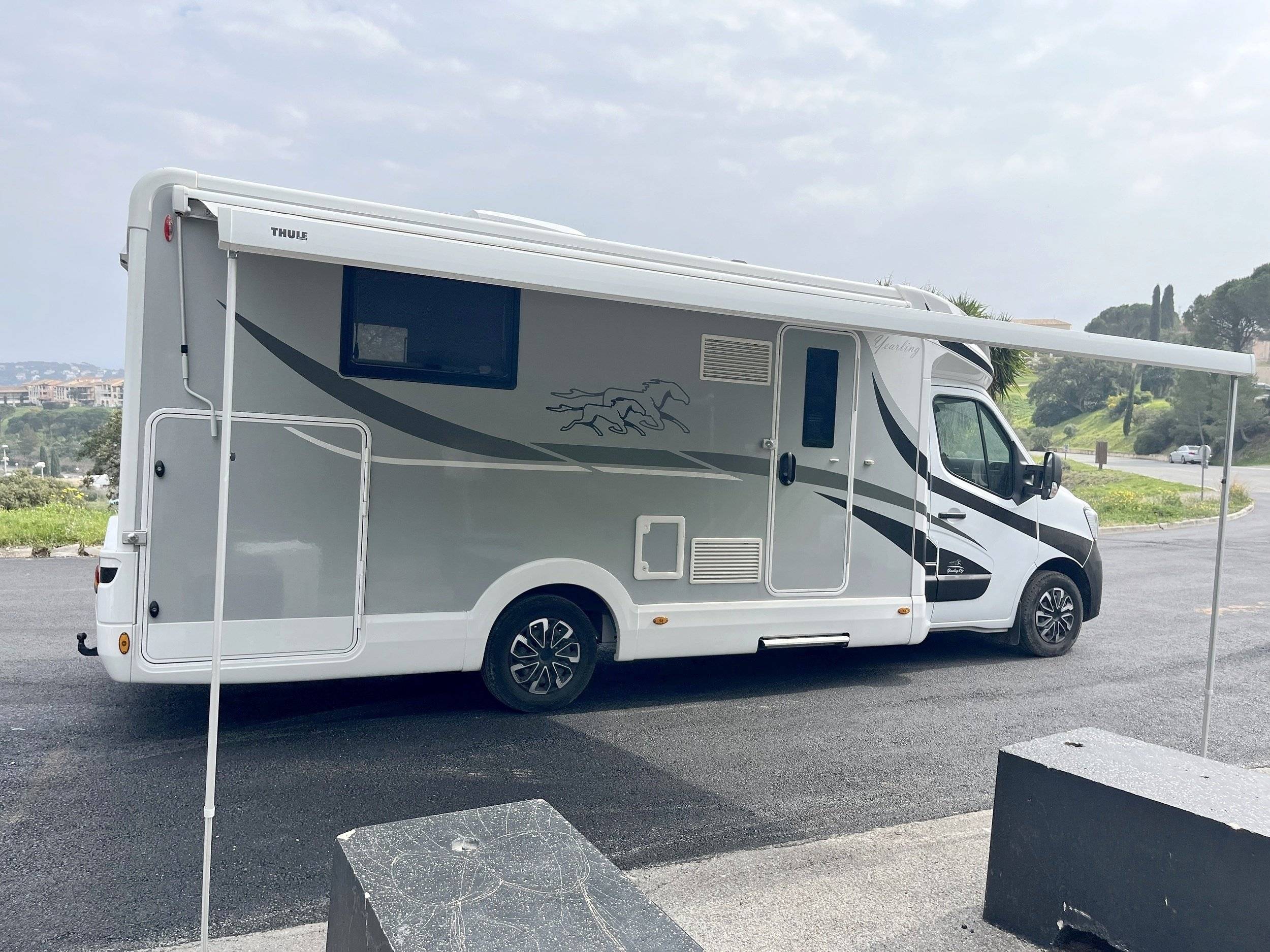 Mclouis Yearling 89 g