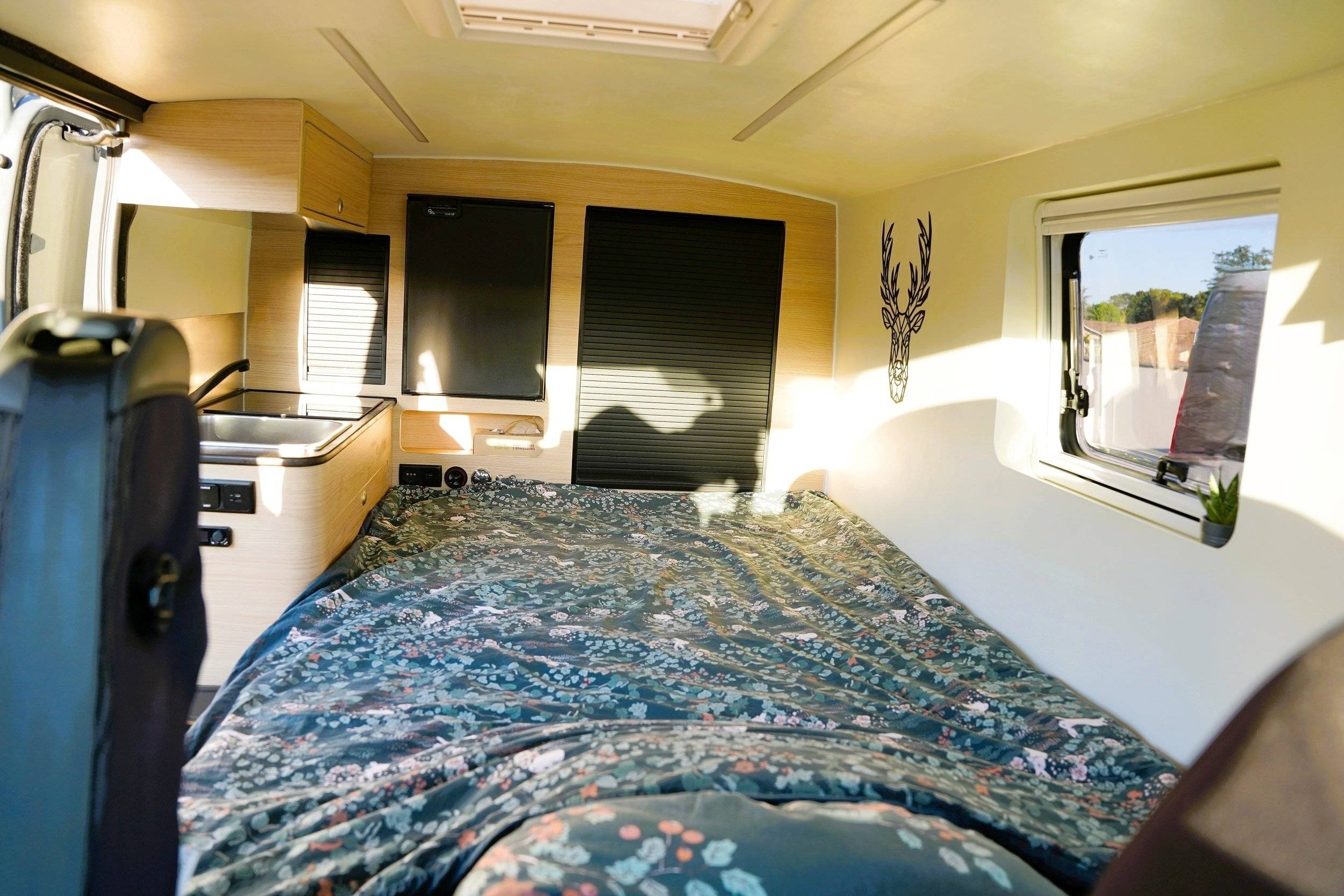 VAN WILD Renault trafic