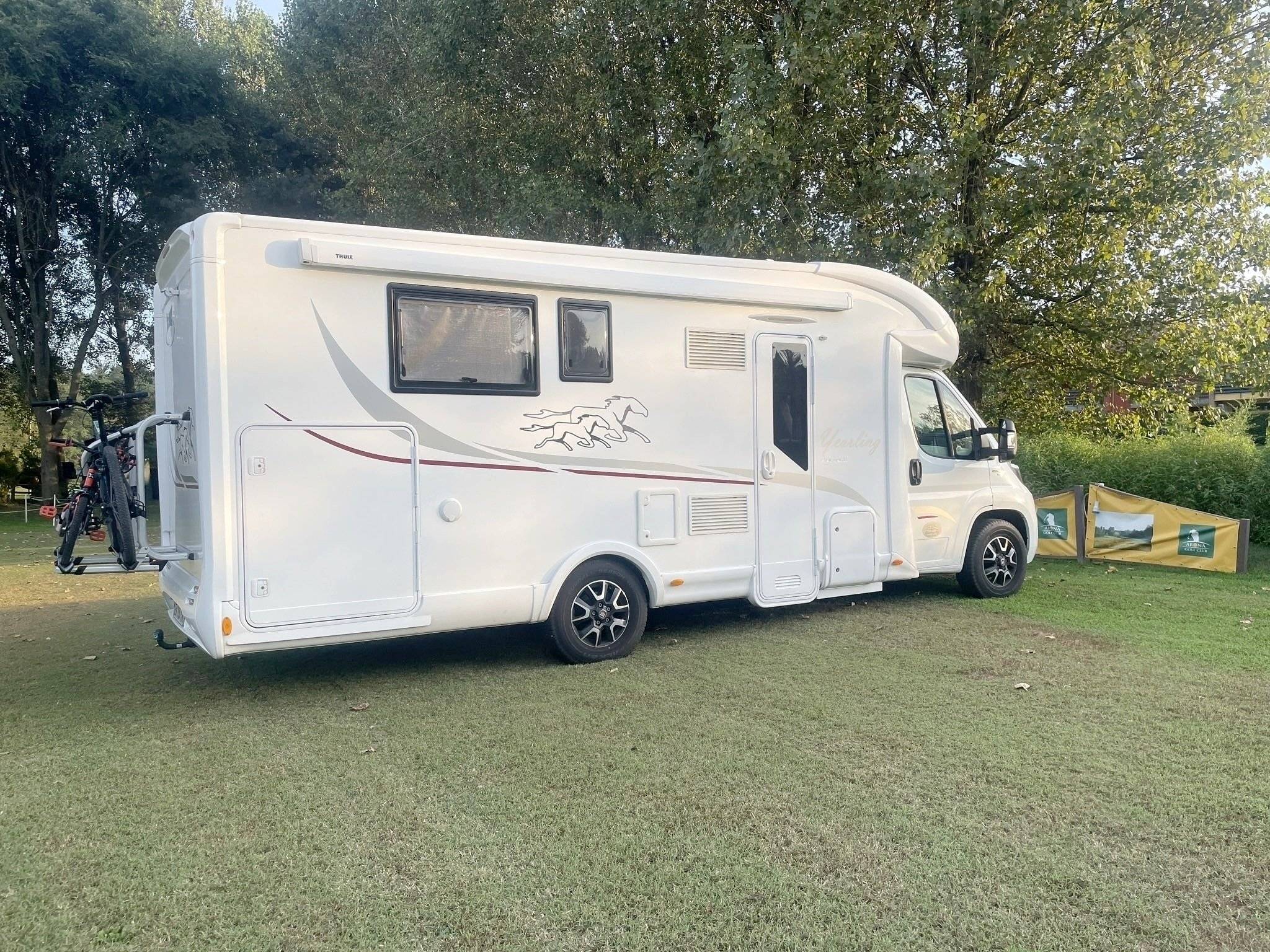 Mclouis yearling 89 G