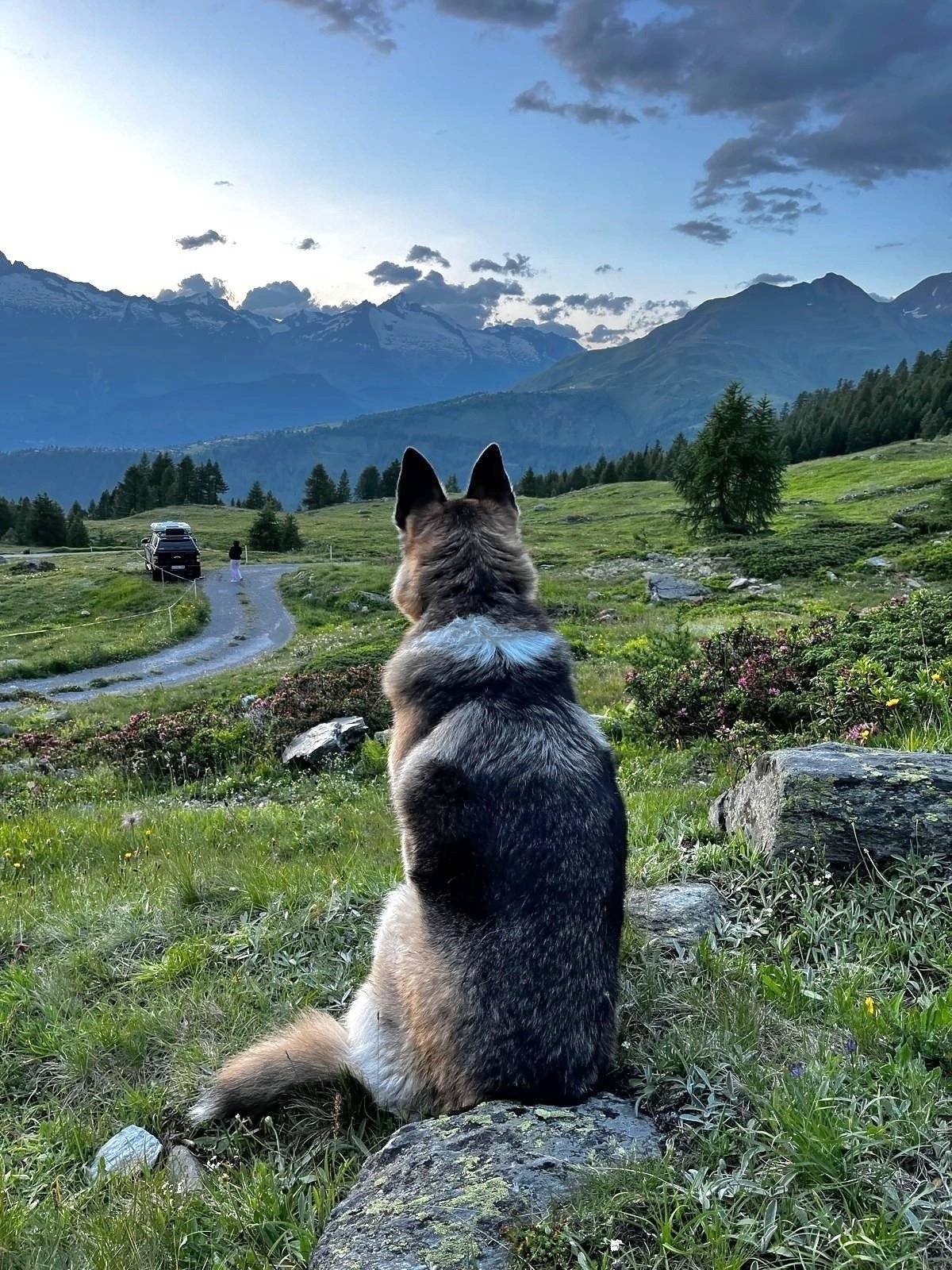 james baroud Ford Ranger