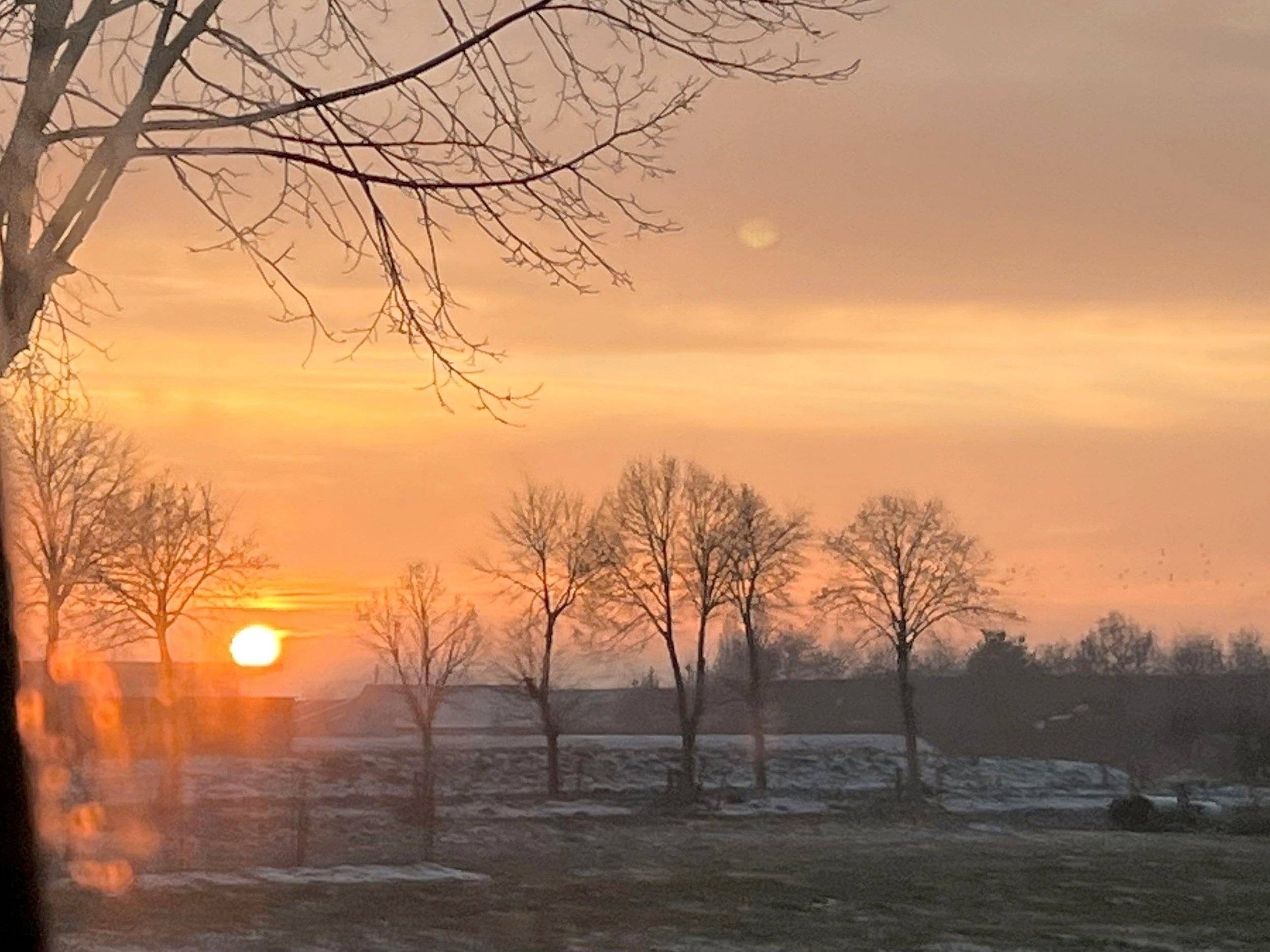 Sunlight 