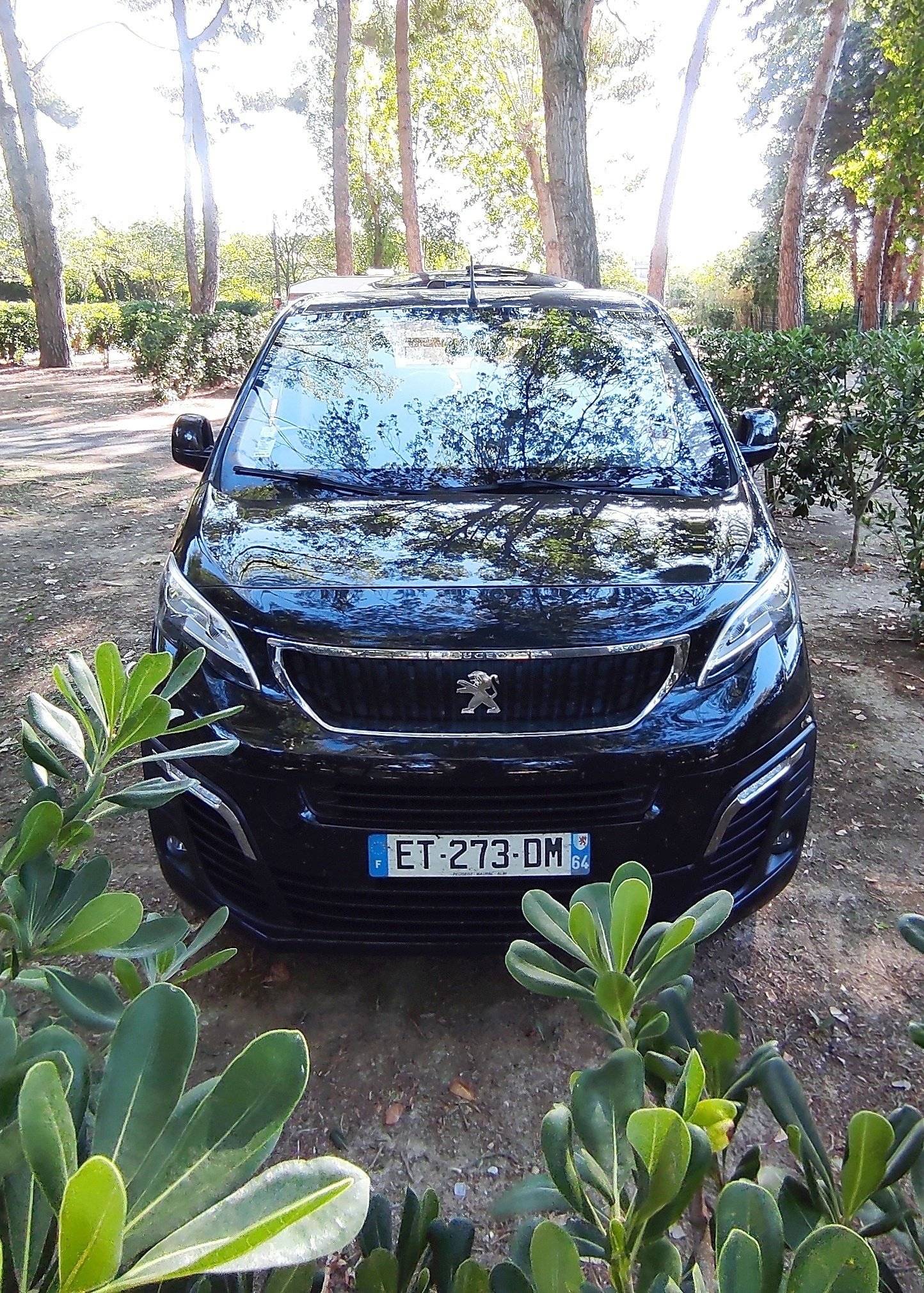 Peugeot Expert 1,6 l 115 ch