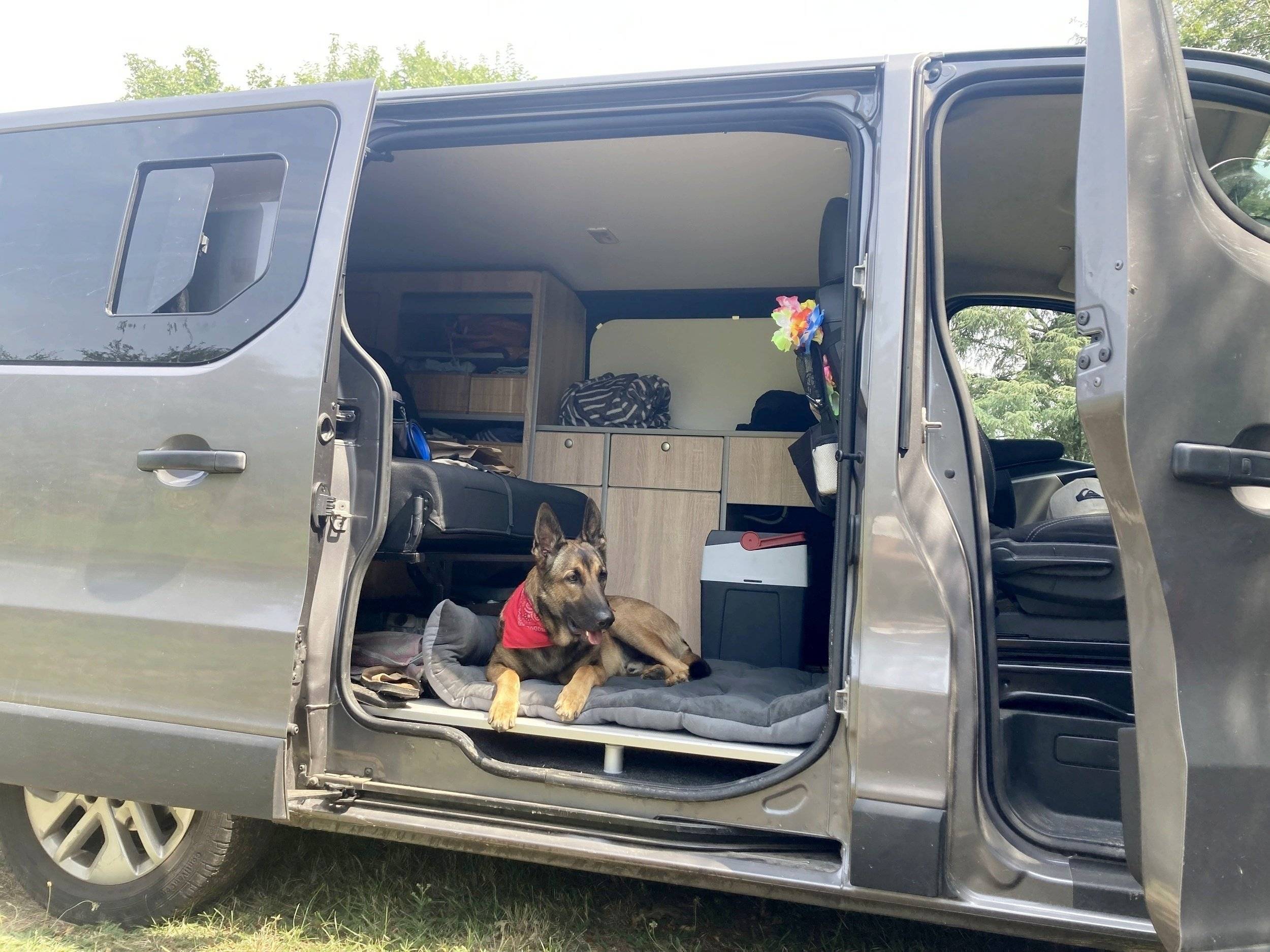 Renault Trafic 1,6 l 120 ch