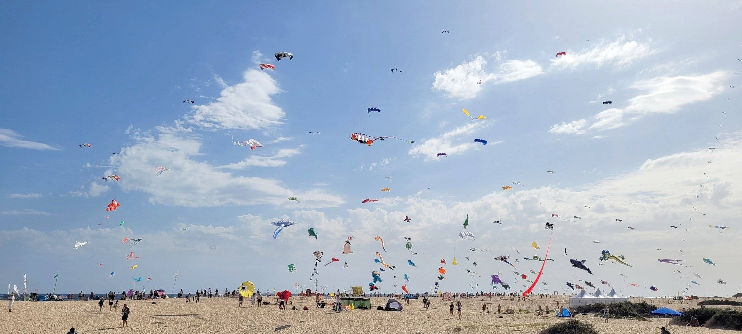 Elnagh Elnagh  Baron