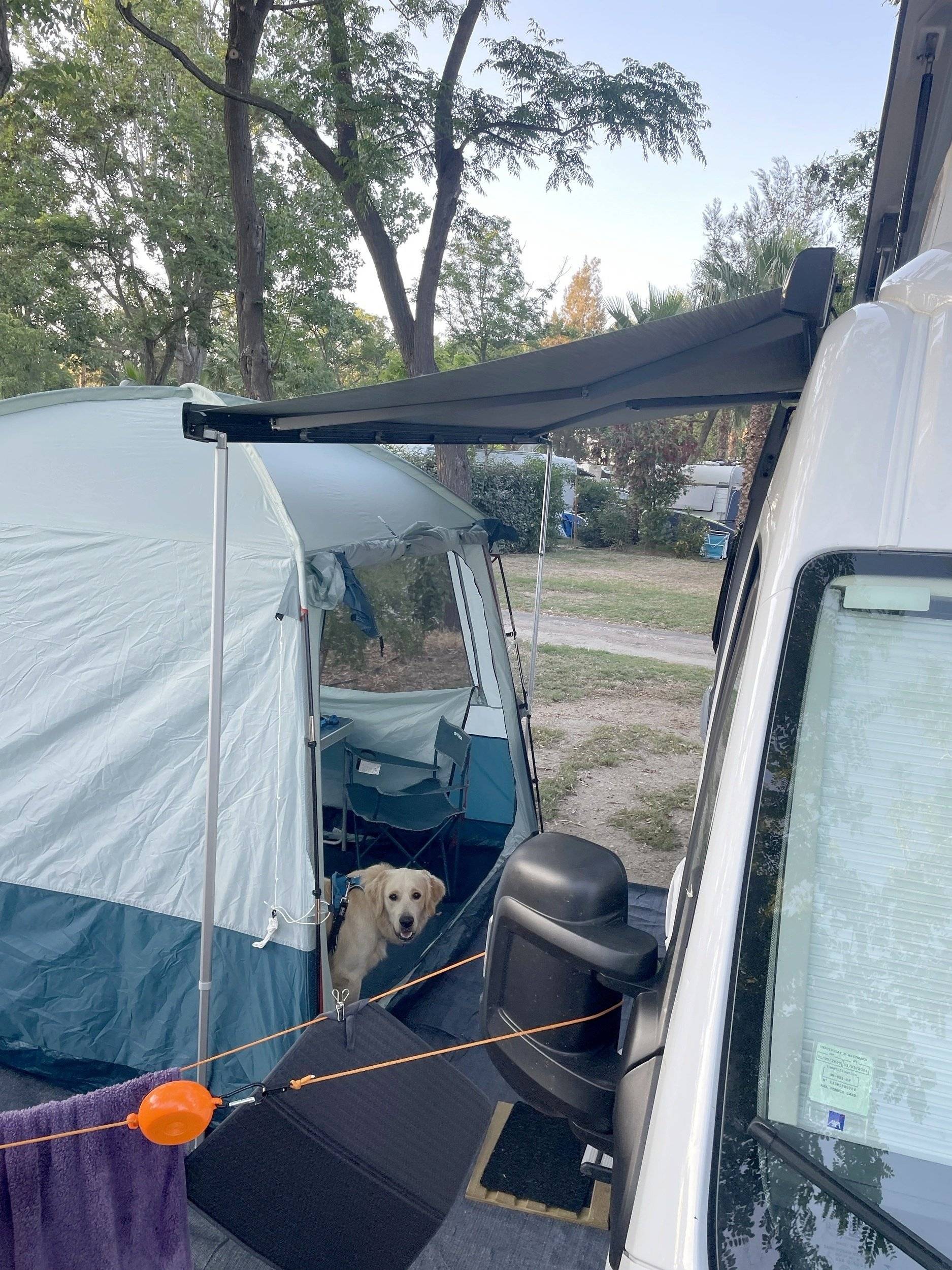 Mclouis Citroën jumper