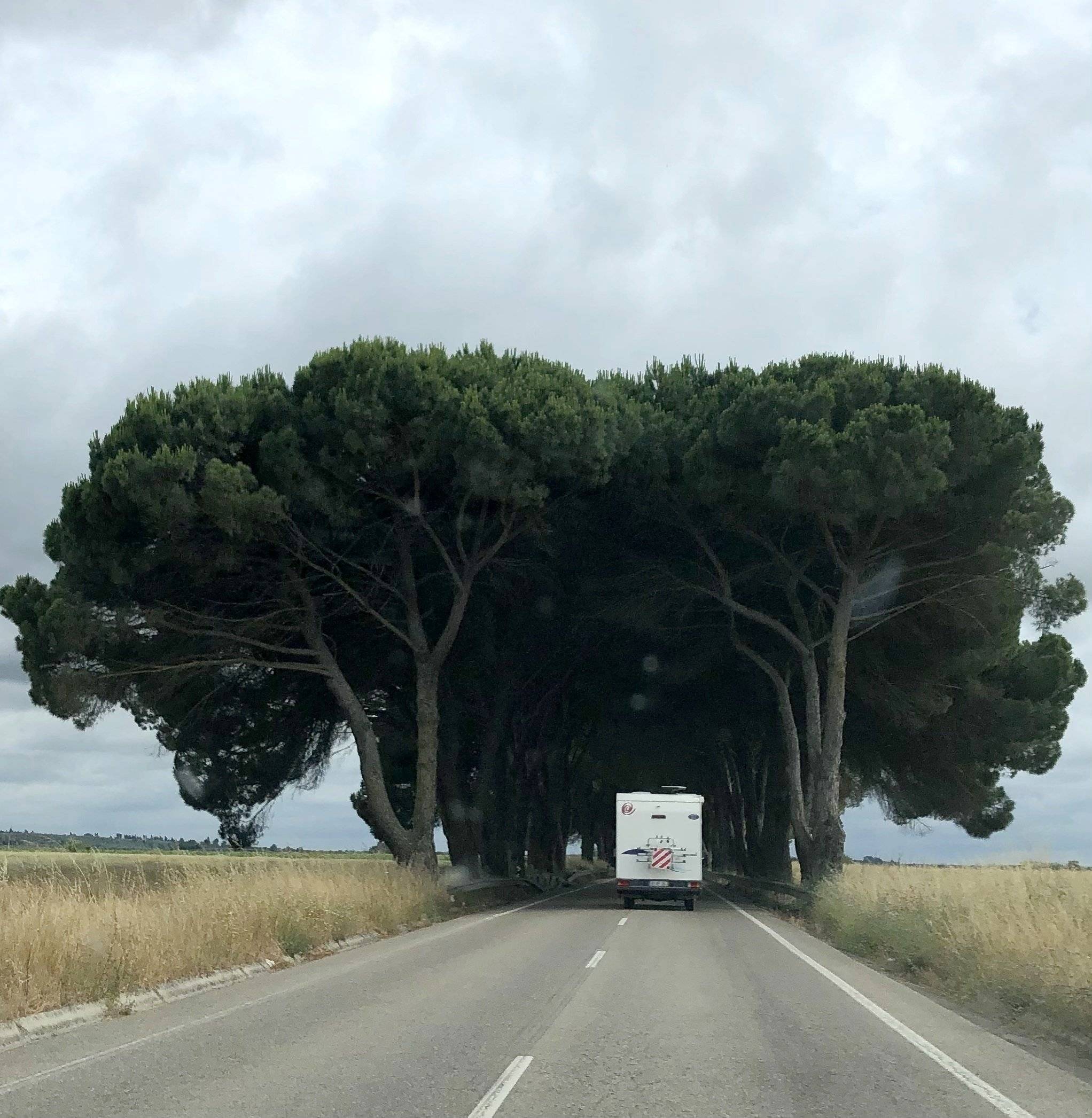 Euramobil SPRINTER 313