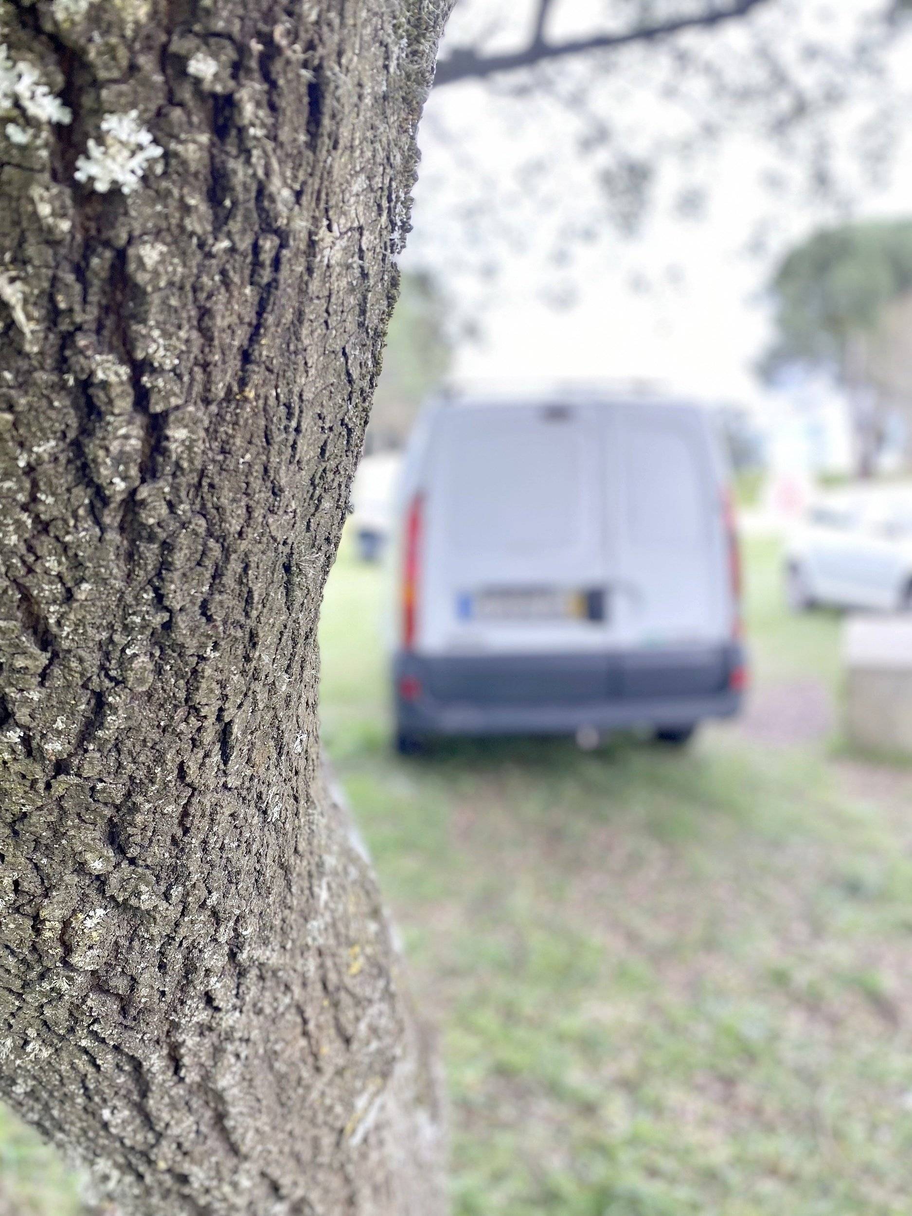 Ansicht von hinten Renault Renault Kangoo - Yescapa