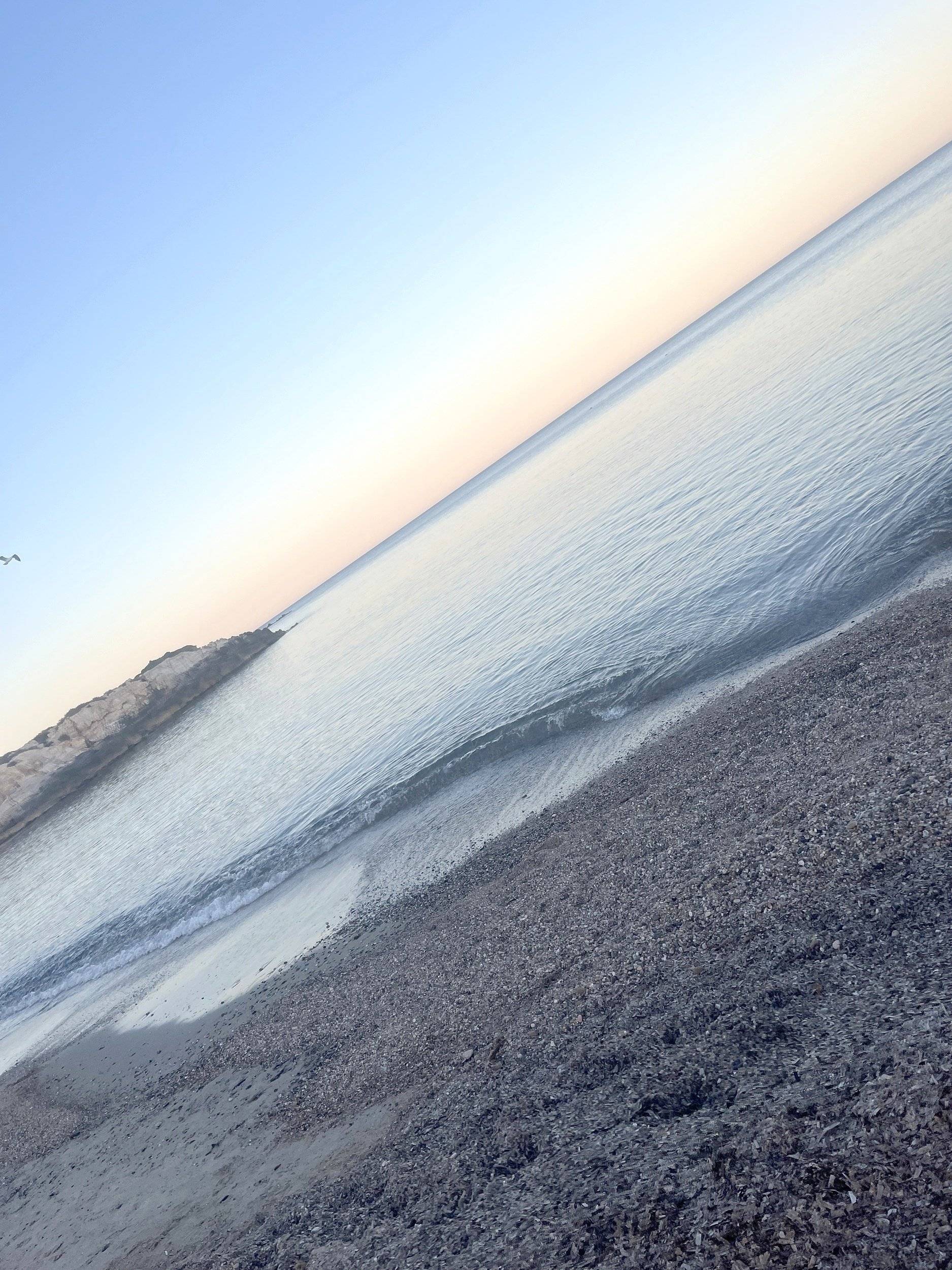 Laika LAIKA ECOVIP 2