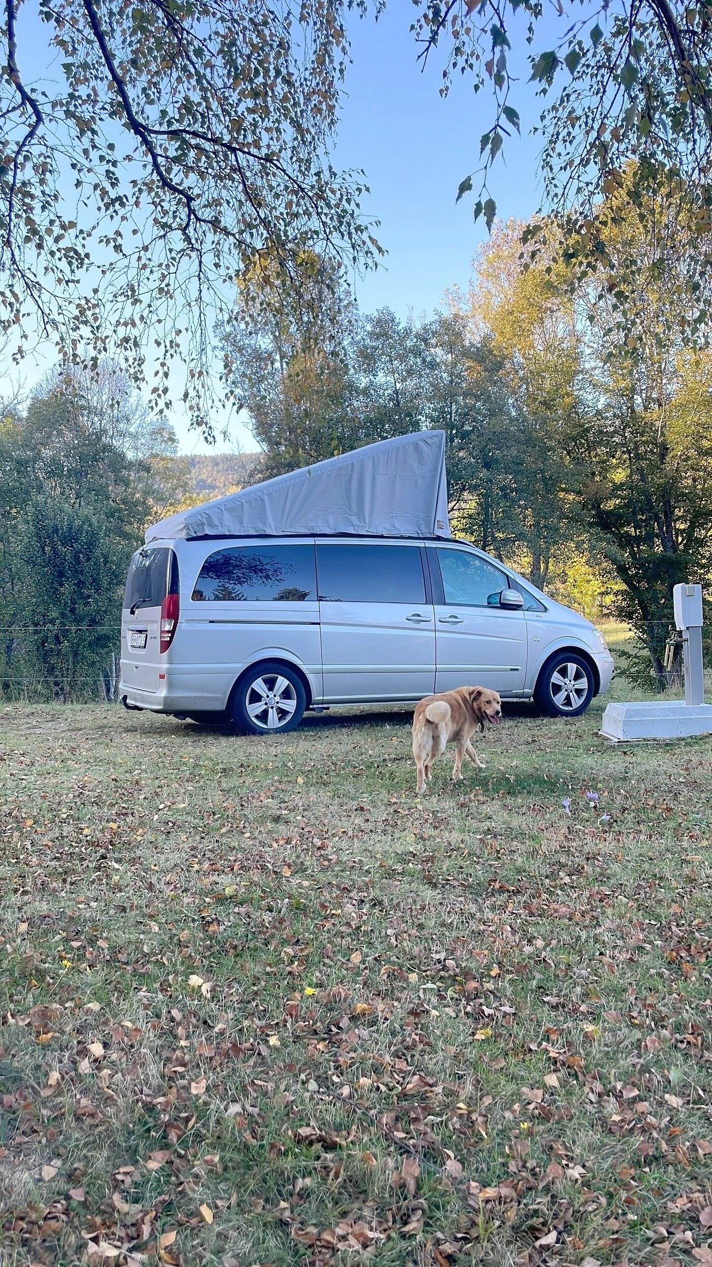 Westfalia Marco polo