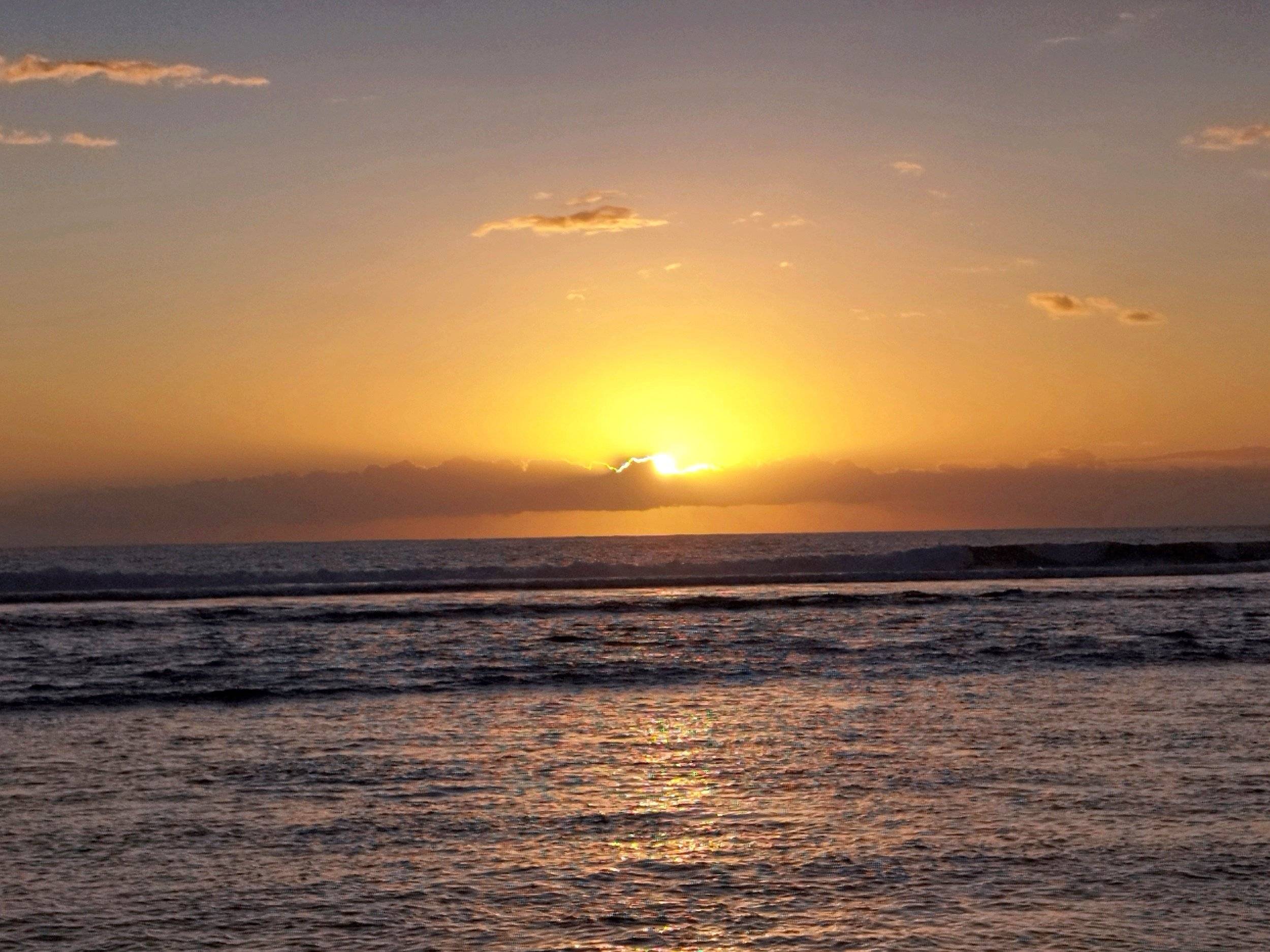 Volkswagen T6.1 California Coast 150ch