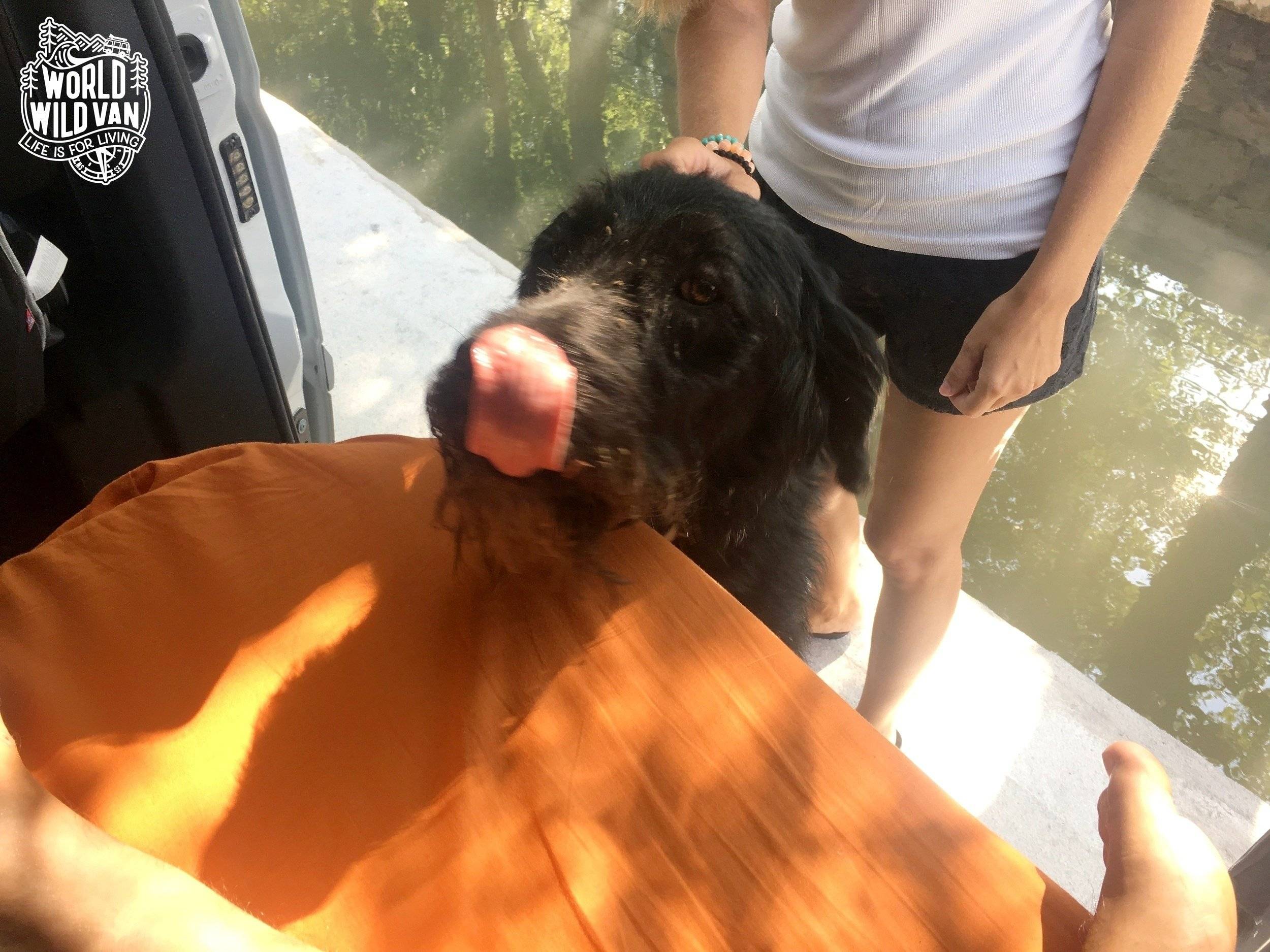 Westfalia Viano Marco Polo Westfalia