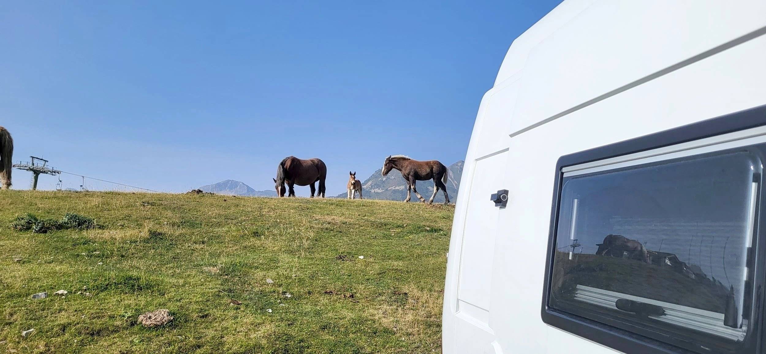 Movano Movano 2.2 CDTI