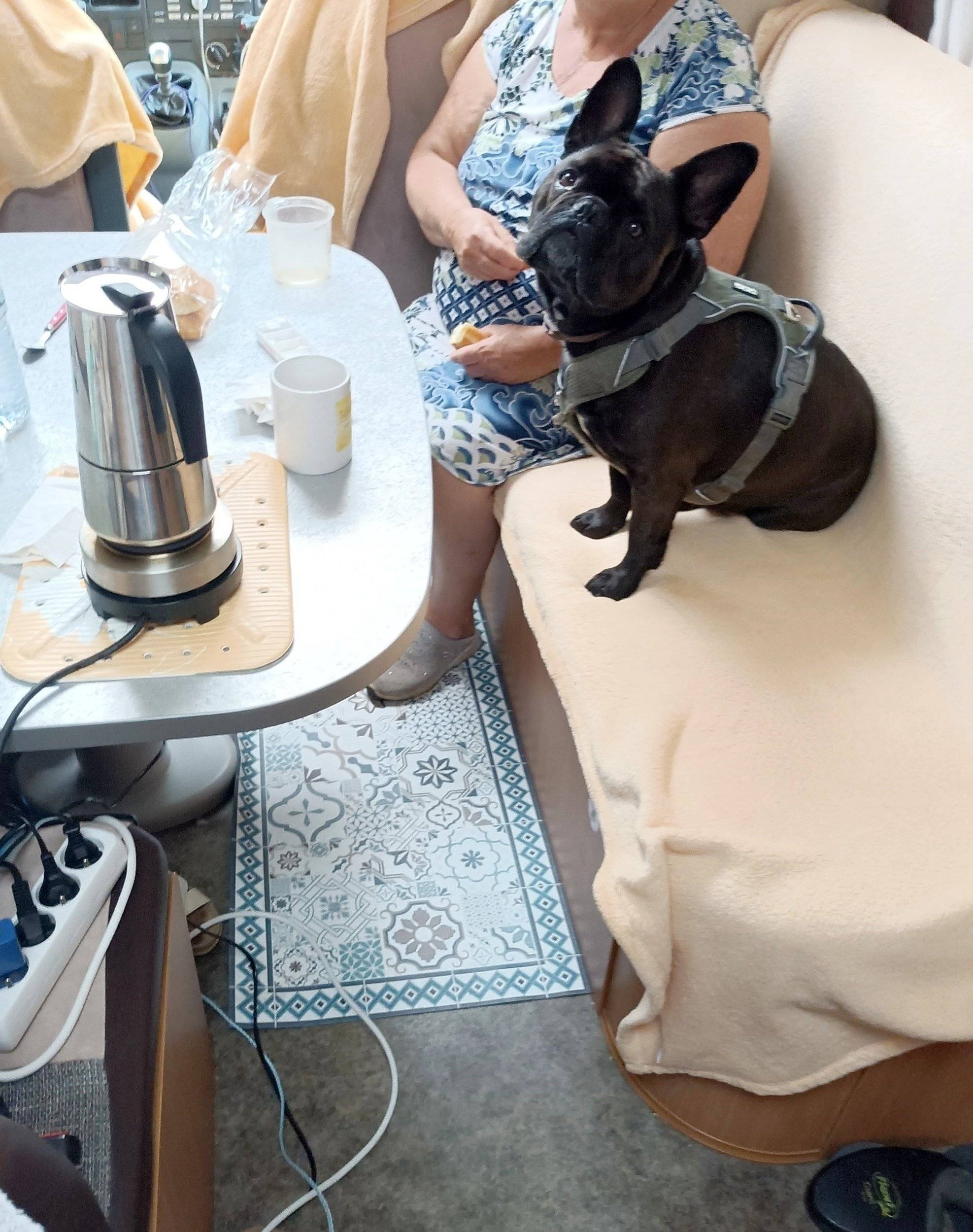 Challenger CHALLENGER GENESIS 30