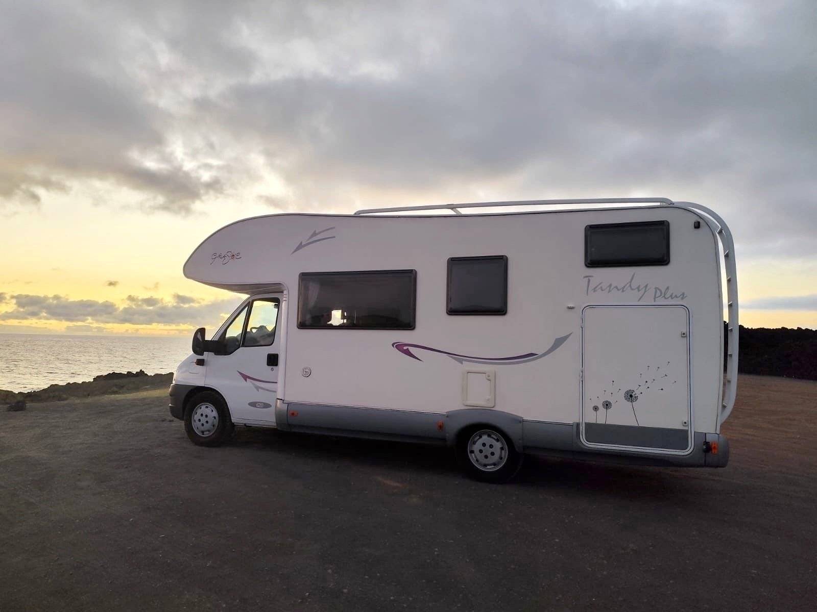 Mclouis McLouis Tandy