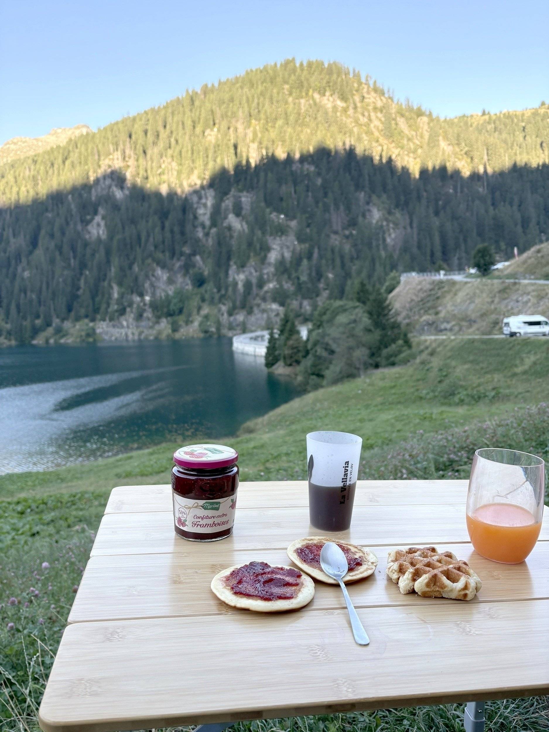 simplevans Renault Trafic