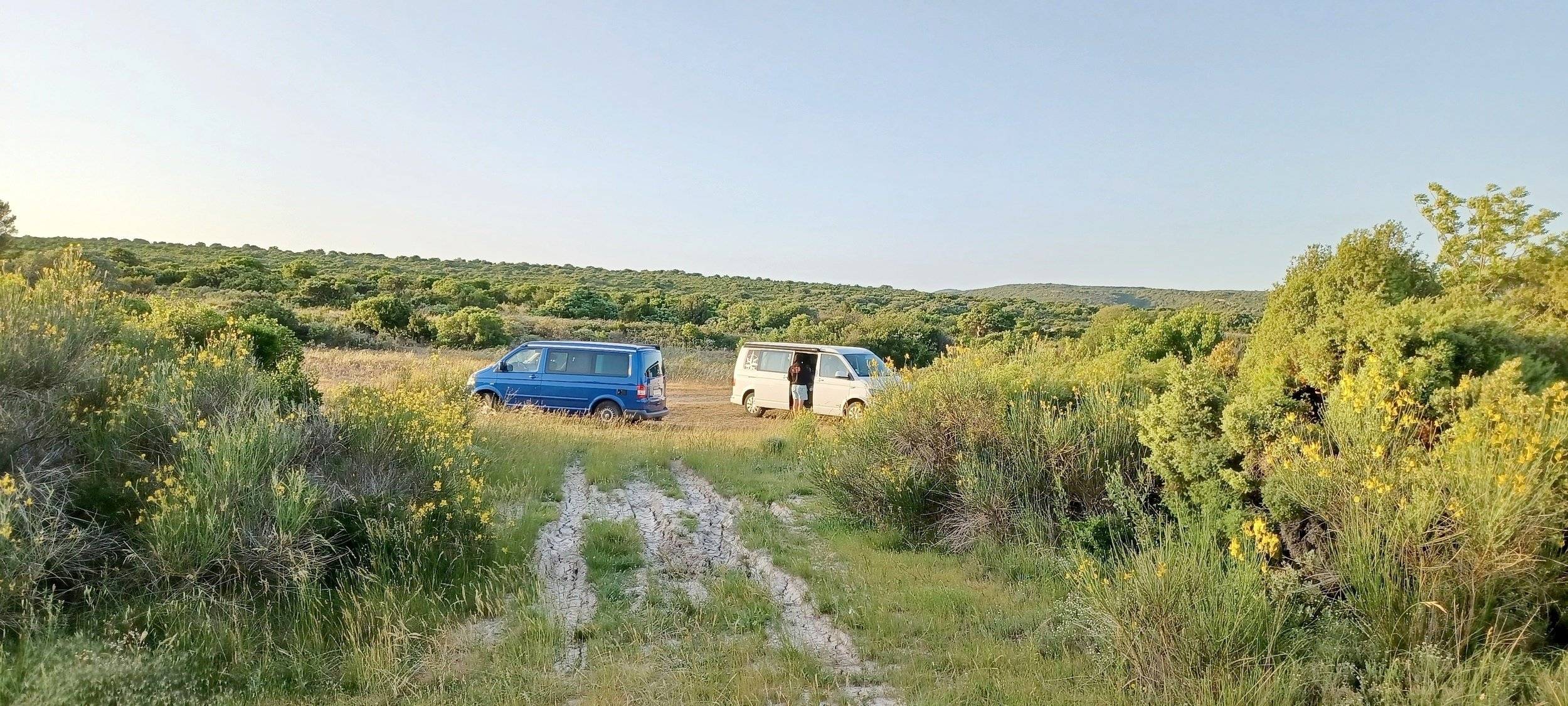 Volkswagen California T5