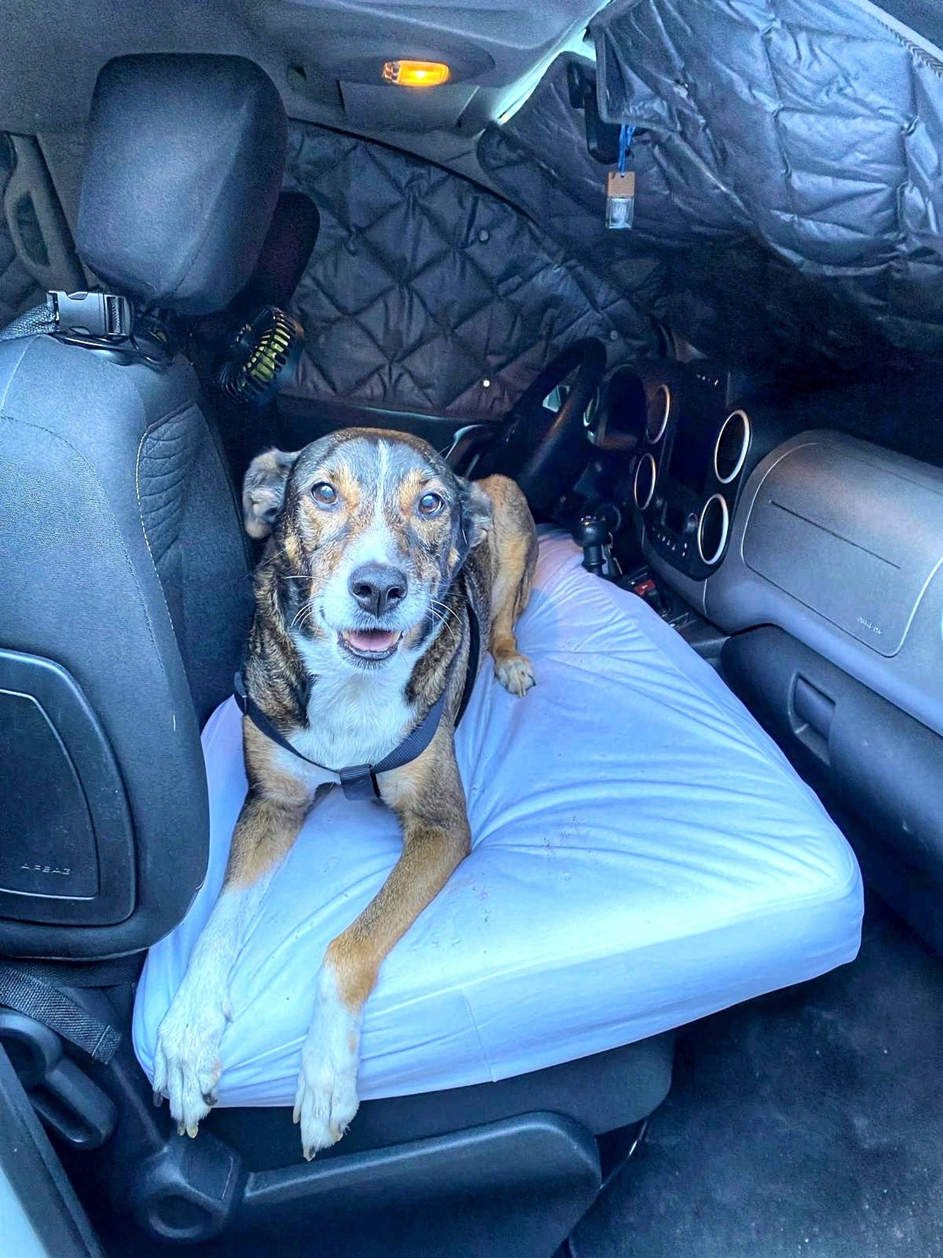 Citroën Berlingo Multispace