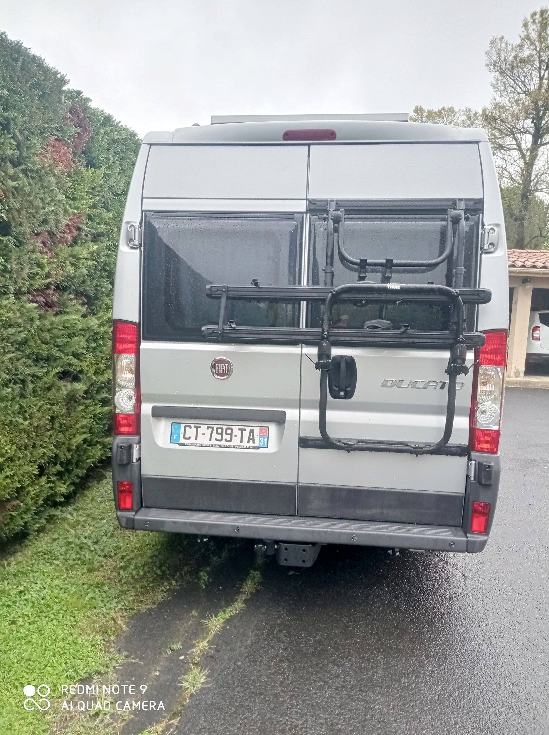 Adria Adria coral   sp660