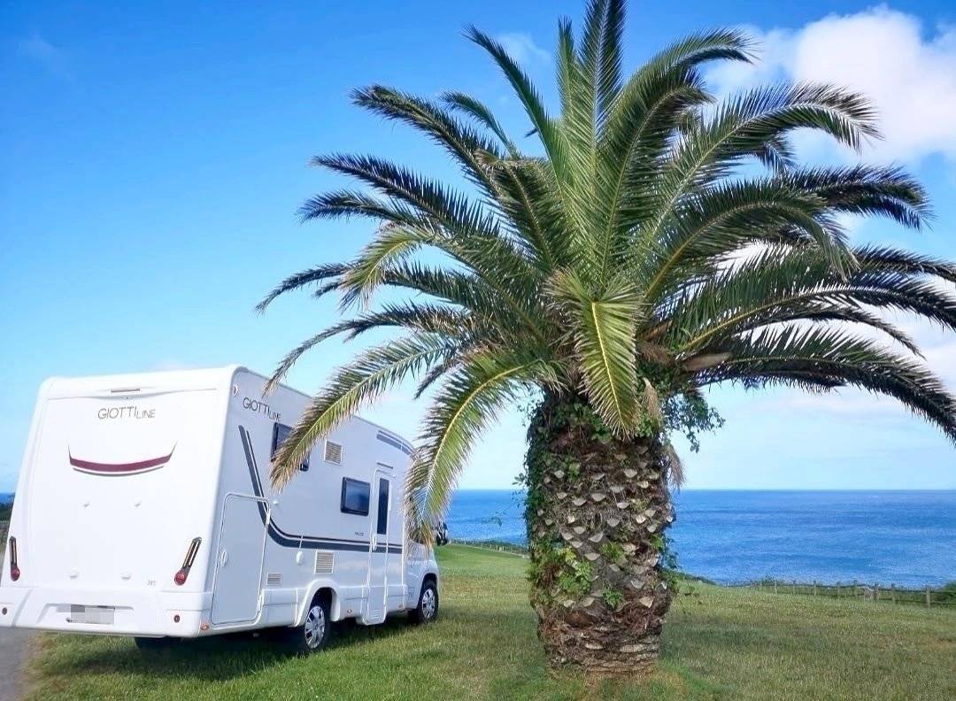 Giottiline Siena 385